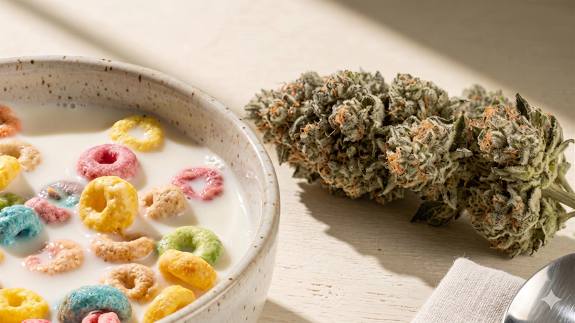 cereal milk strain