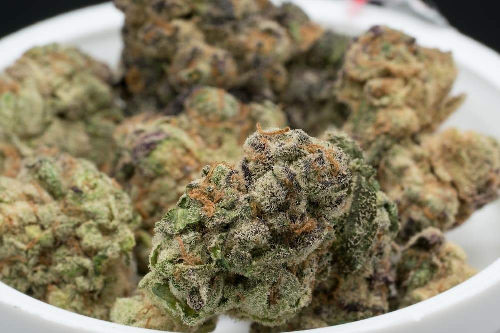 apple fritter strain