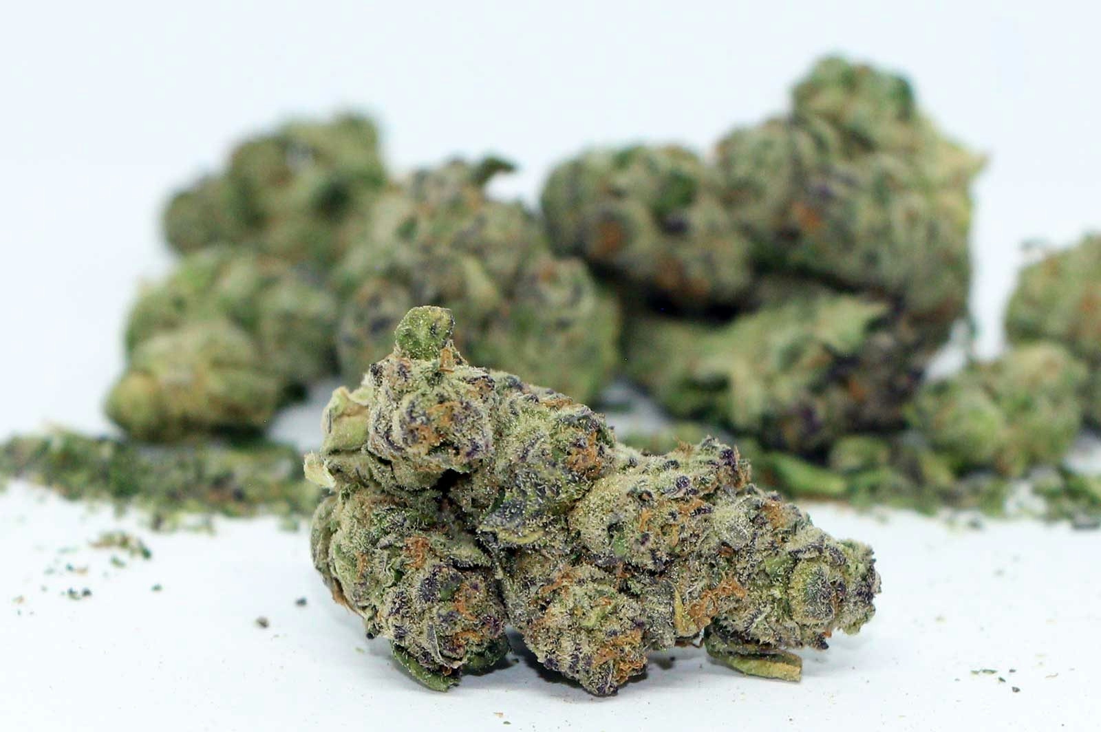 apple fritter strain