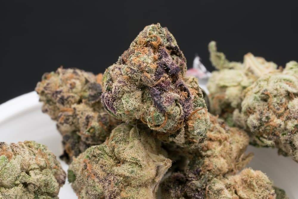apple fritter strain