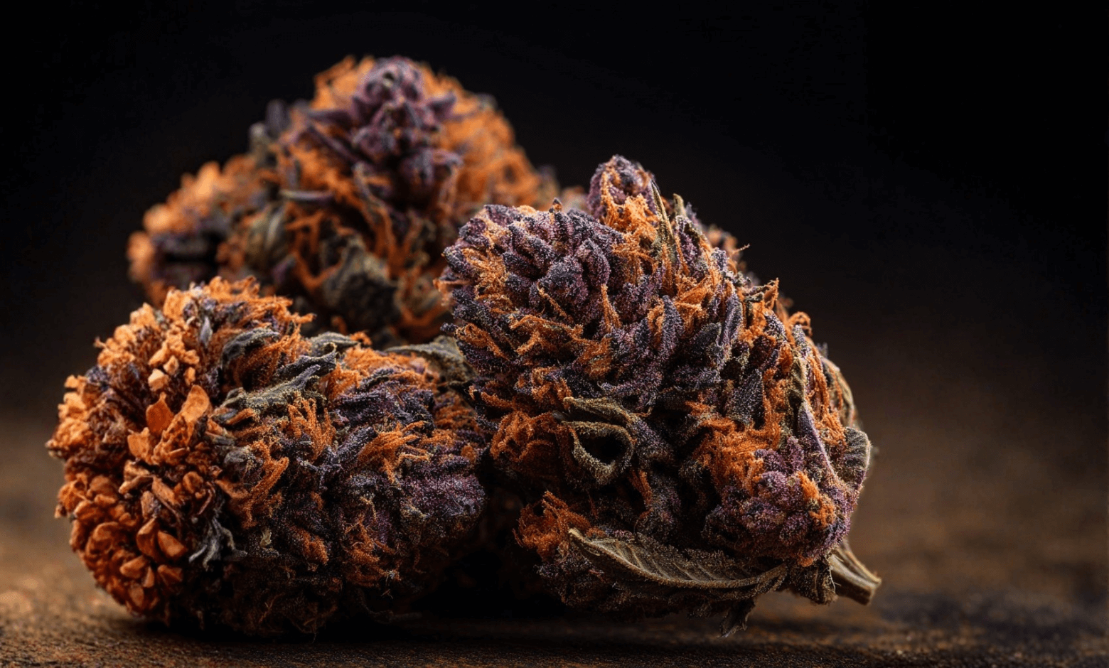 Purple Haze Strain: Terpenes, Effects, Reviews, and Where to Buy in 2026