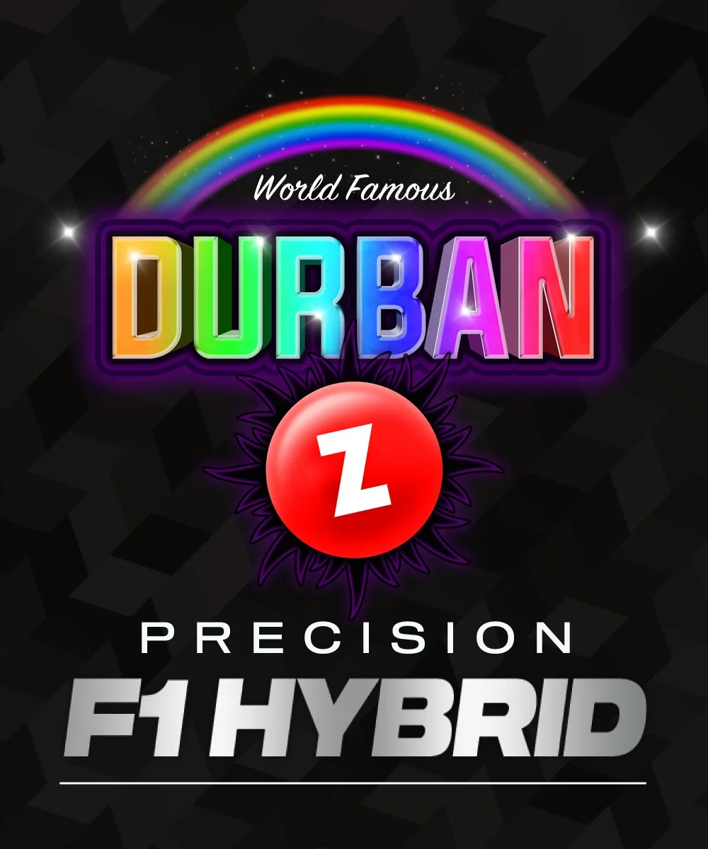 Durban Z