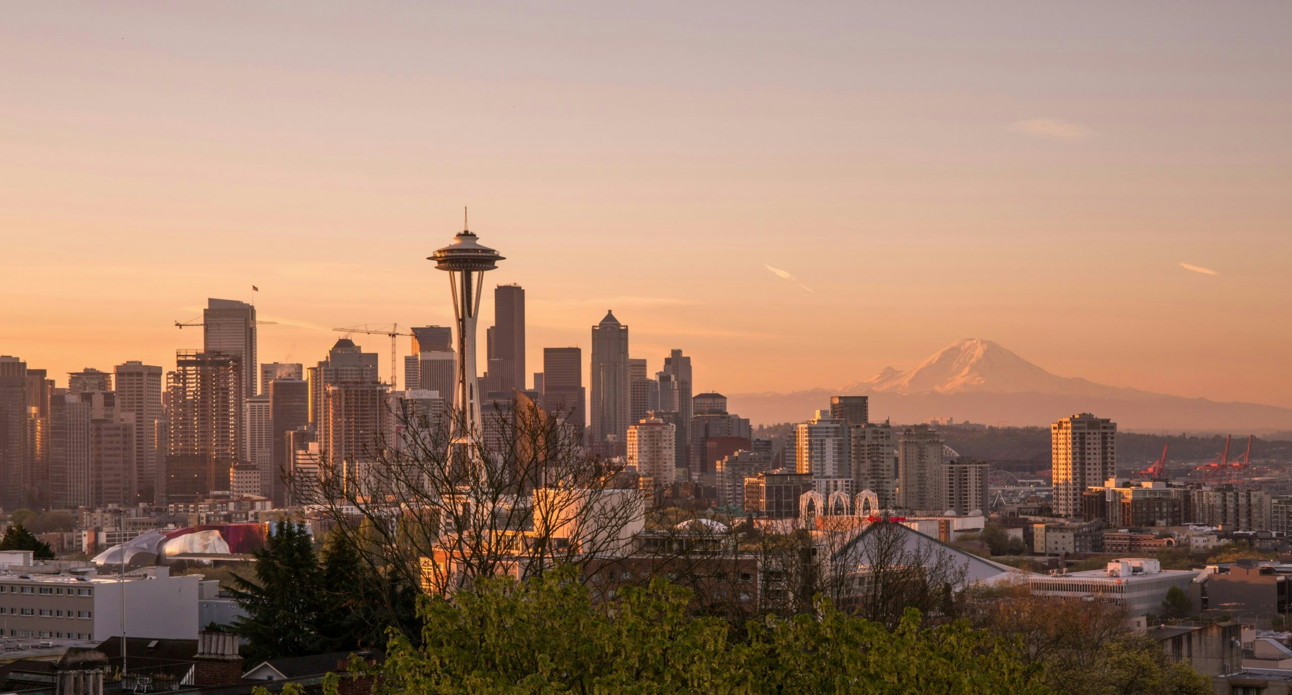 Seattle skyline featuring the Space Needle and downtown waterfront