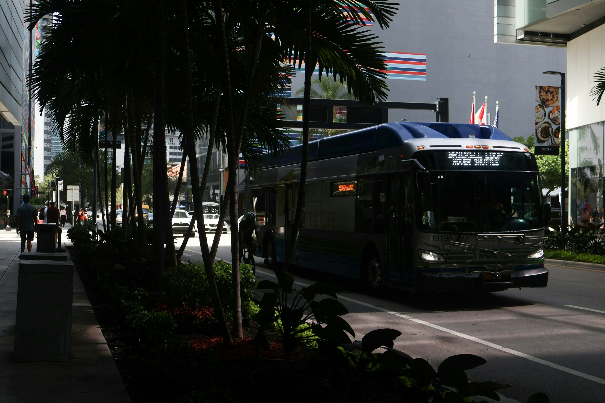 Traveler exploring Miami while researching where to buy weed in Miami