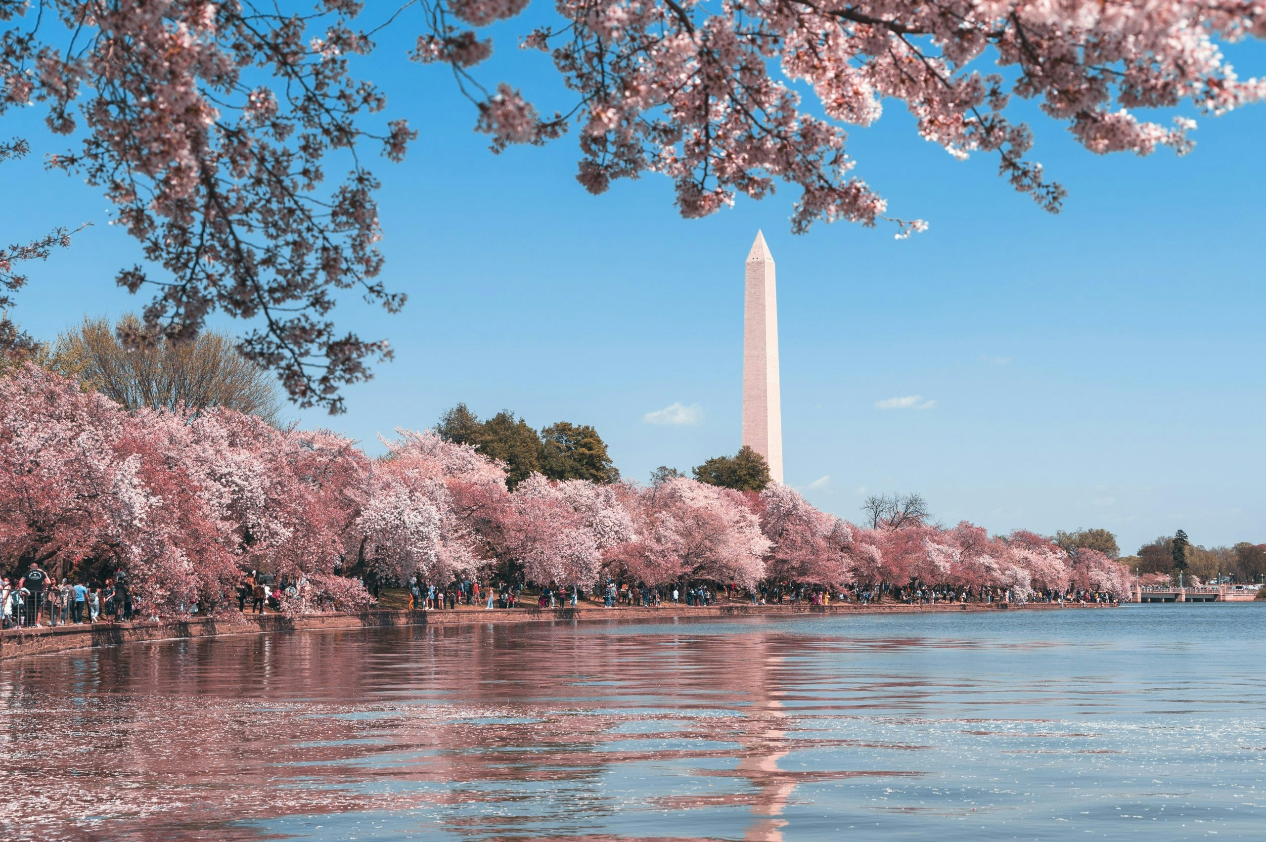 Panoramic view of downtown Washington, DC, featuring historic landmarks