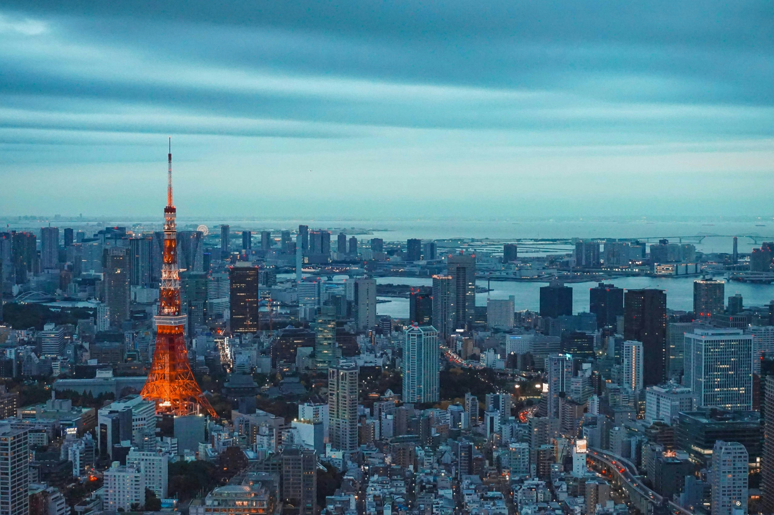 Aerial view of downtown Tokyo showcasing one of the world's largest cities
