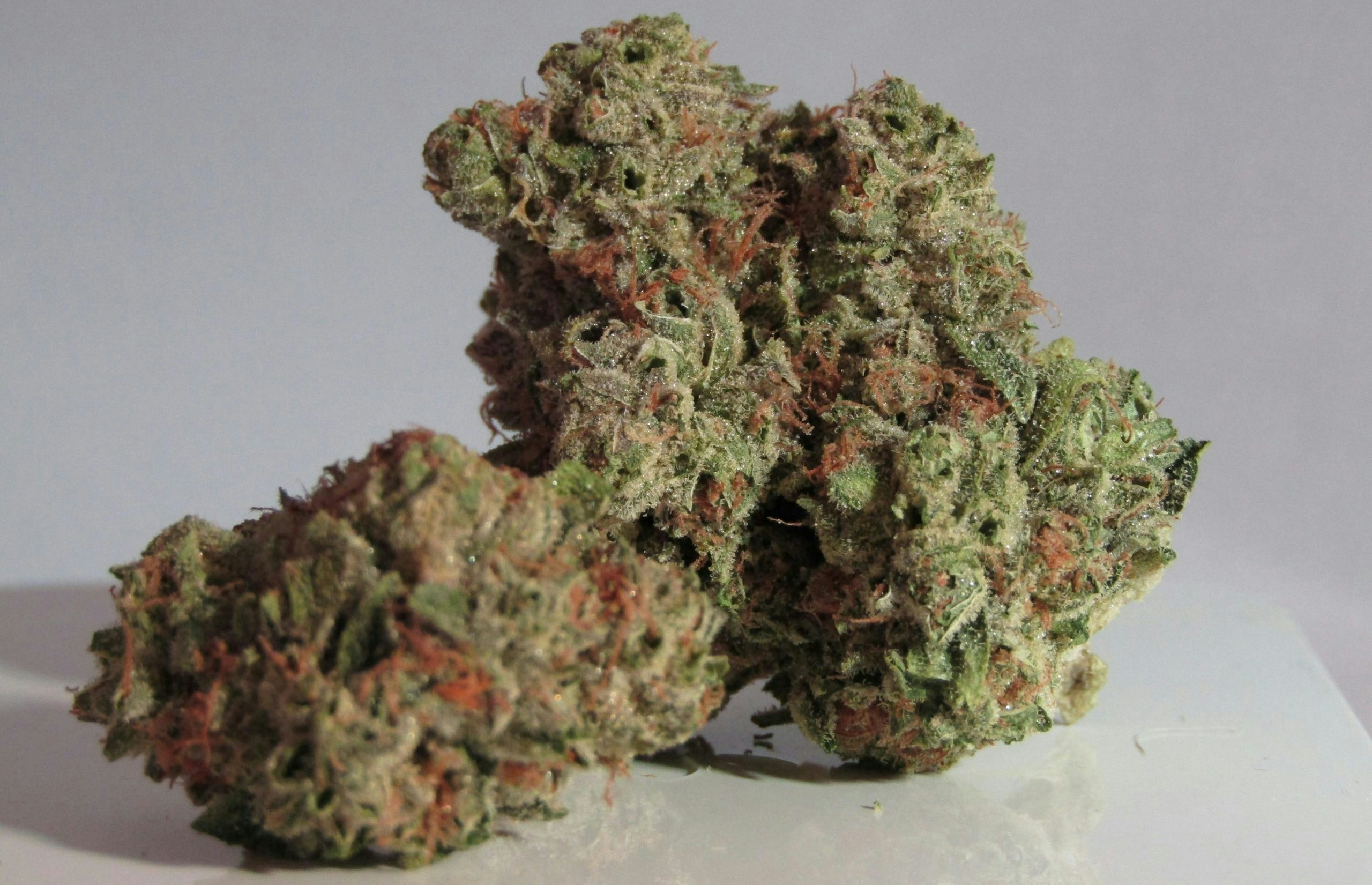 strawberry cough strain