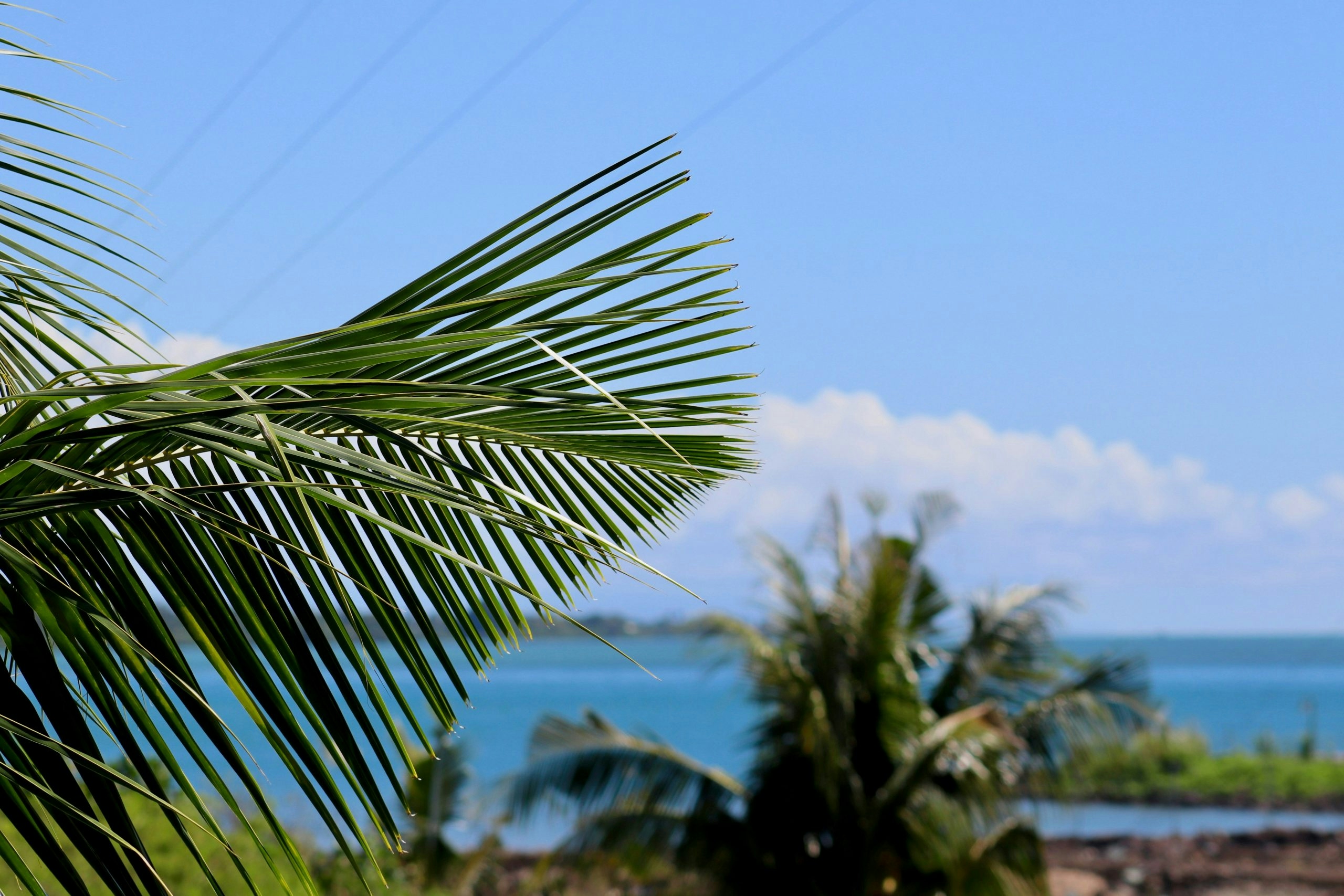 Scenic coastal landscape in Samoa