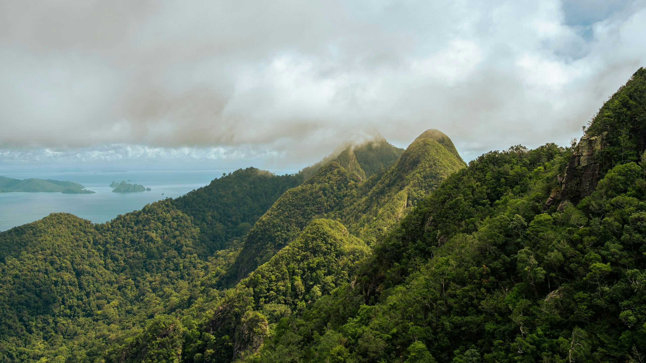 Rolling green hills in Samoa