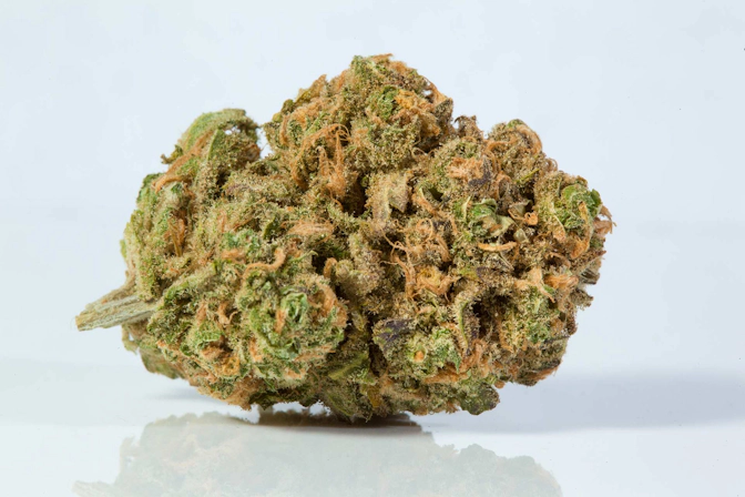 blue nerds strain