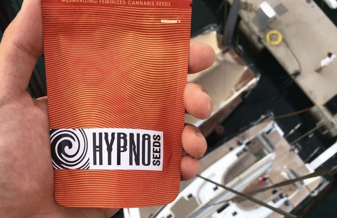 best cannabis seed banks