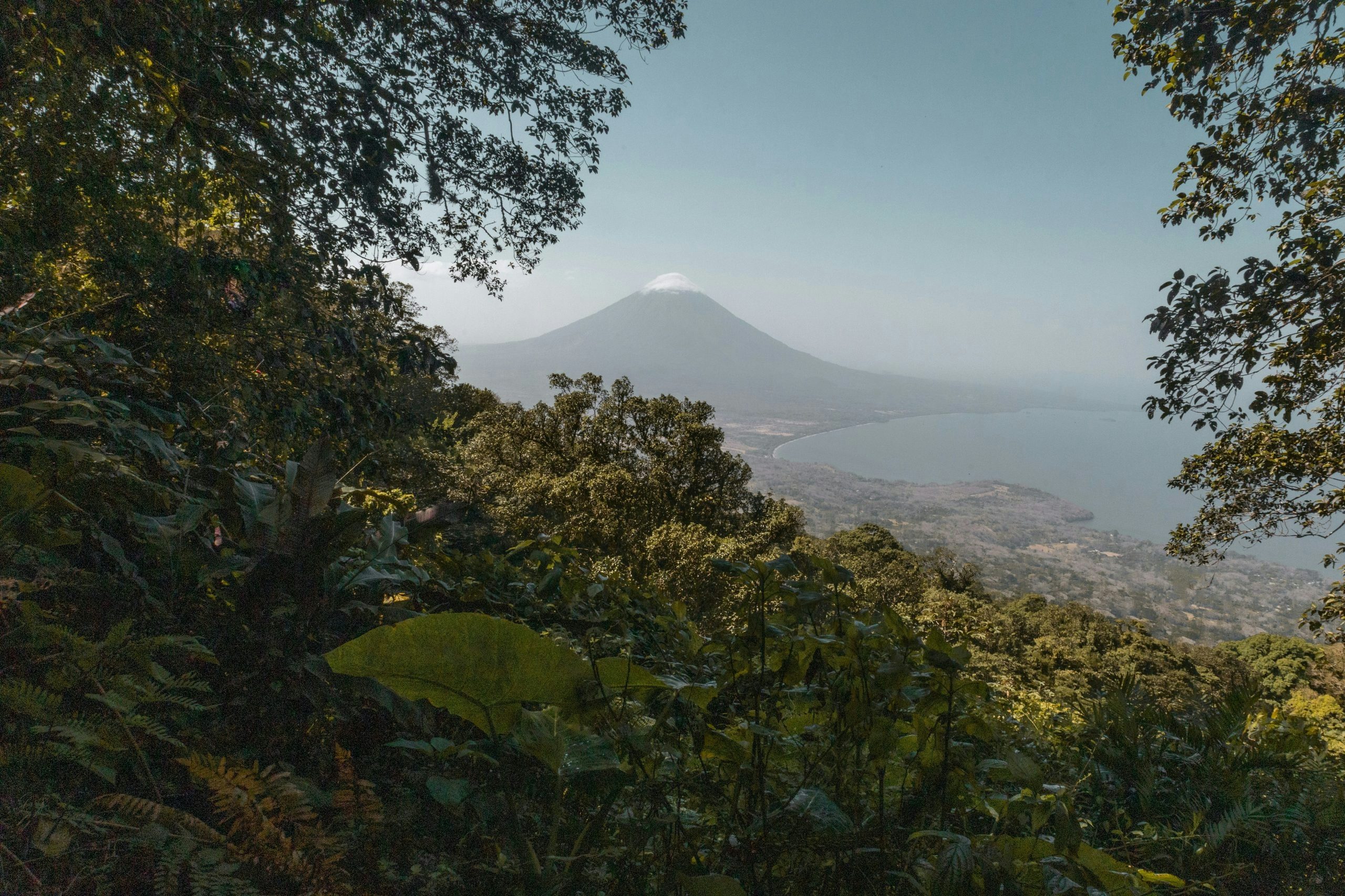 Buy Weed in Nicaragua