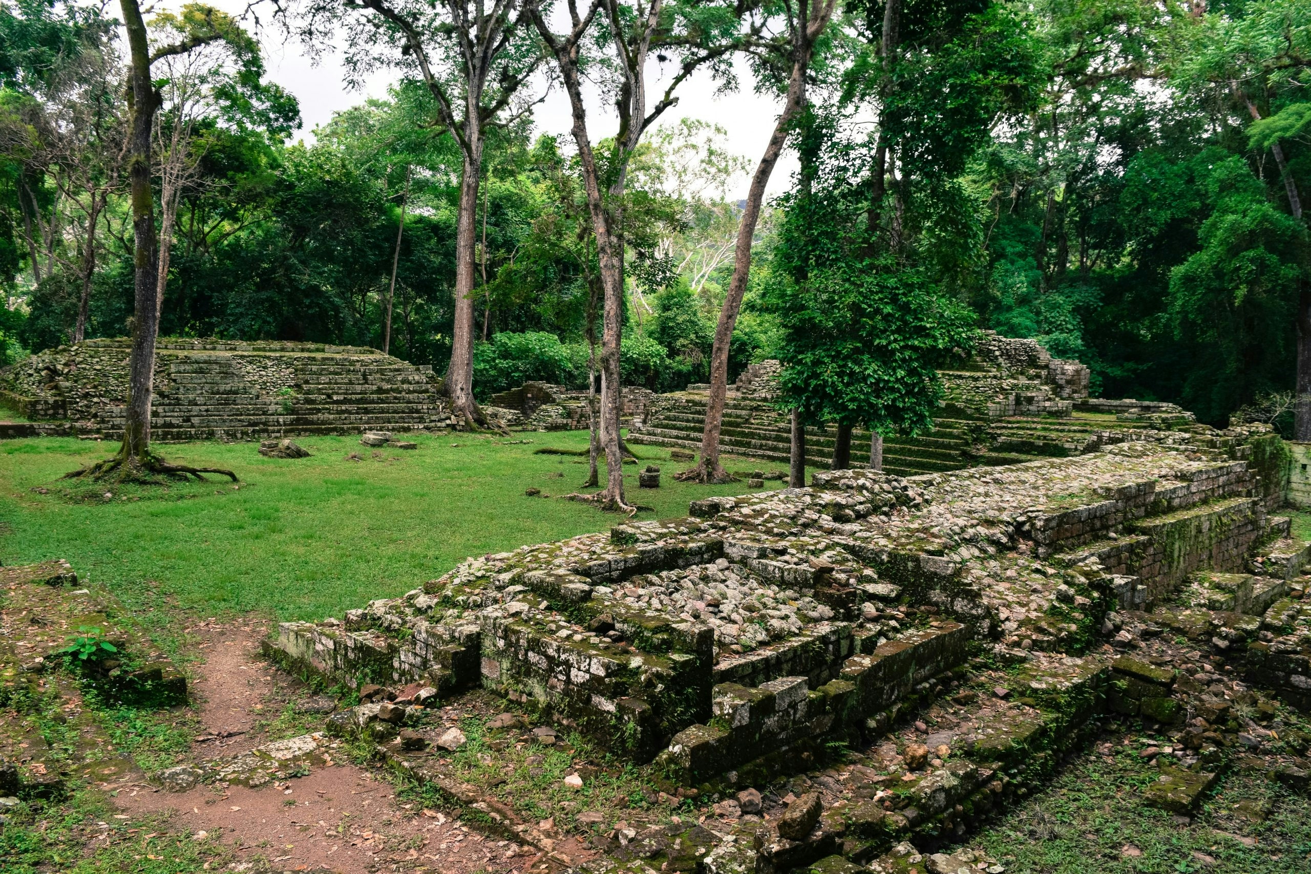 Buy Weed in Honduras