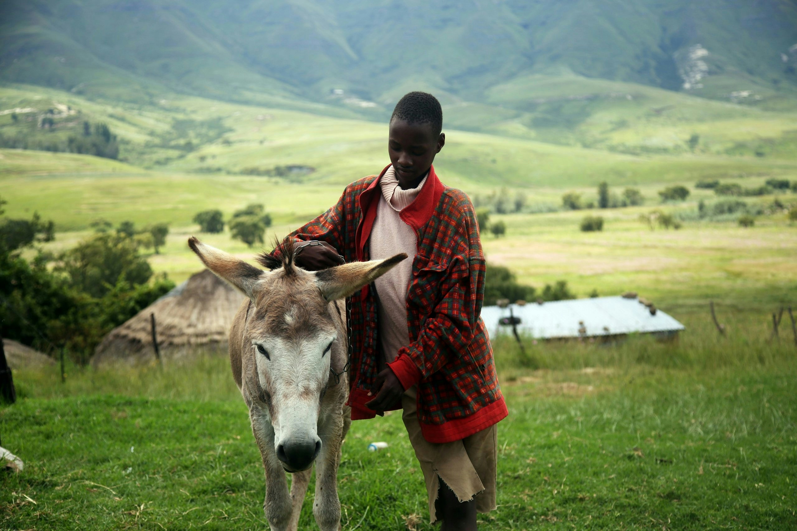 Buy Weed in Lesotho