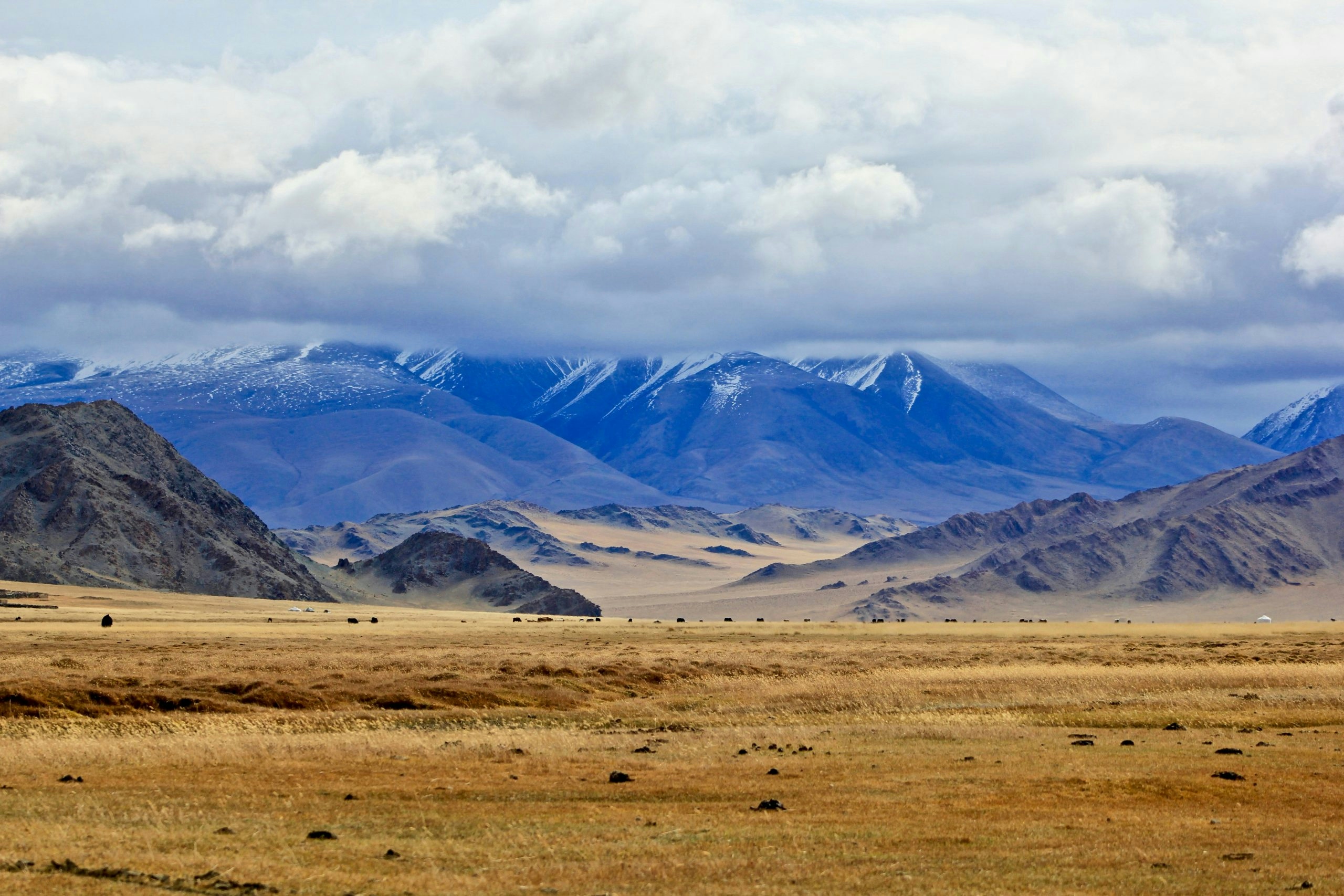 Buy Weed in Mongolia
