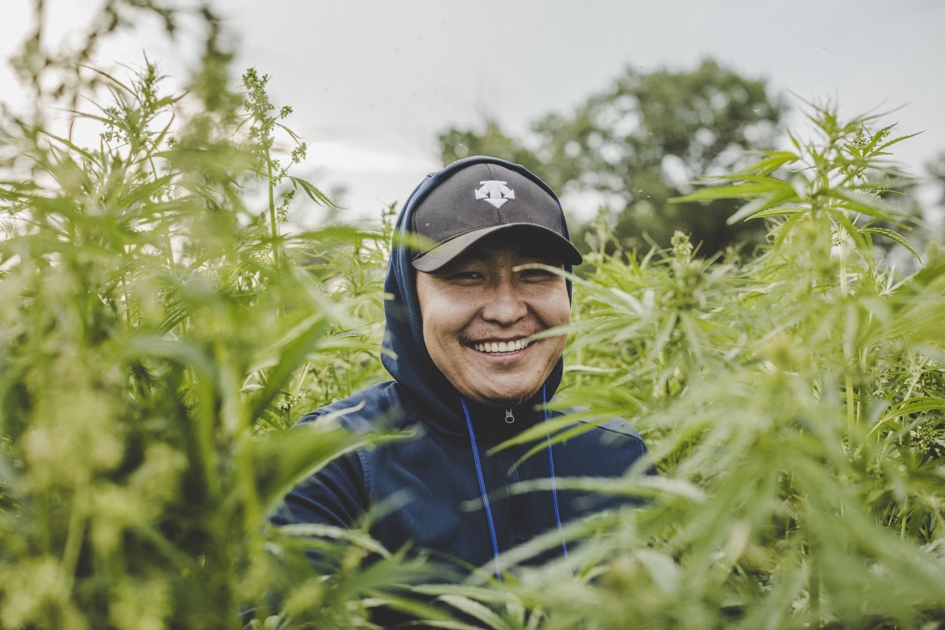 Buy Weed in Mongolia