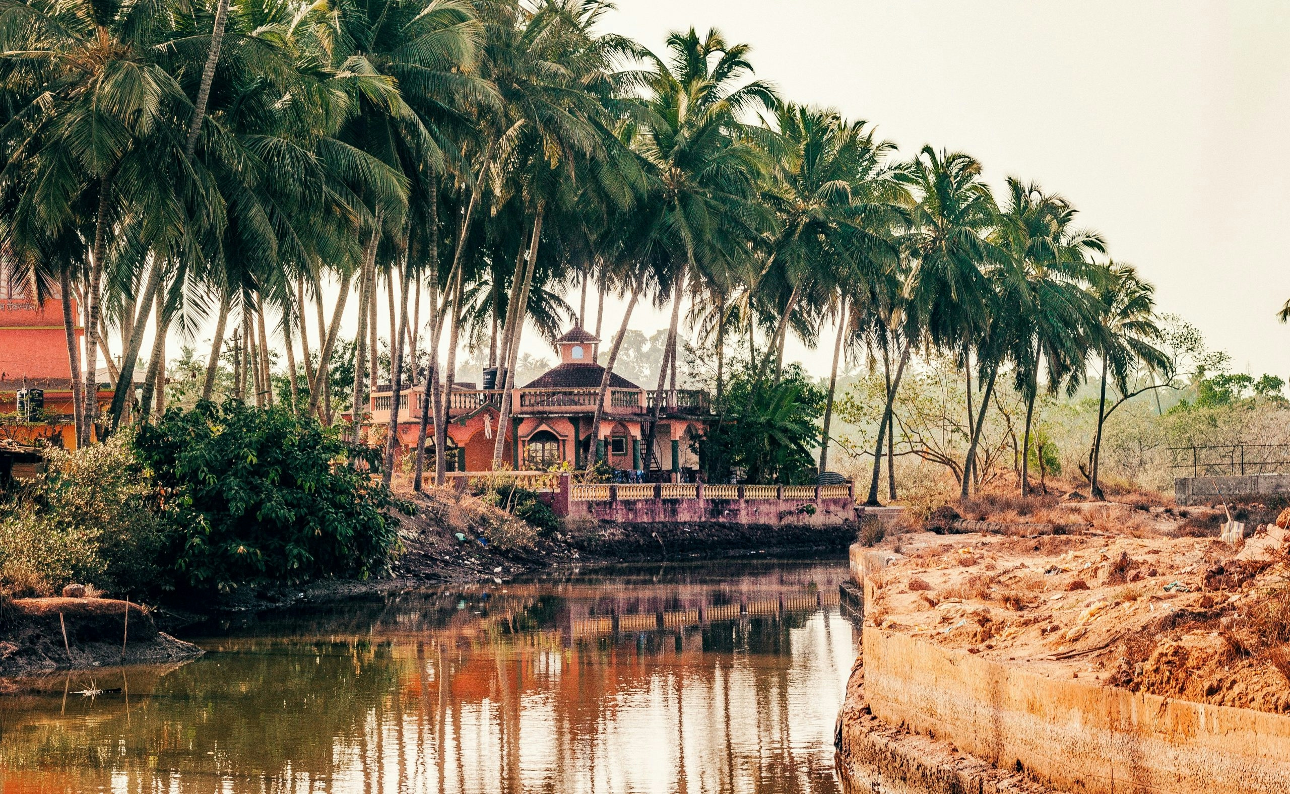 Quiet village road in Goa lined with palm trees and traditional houses