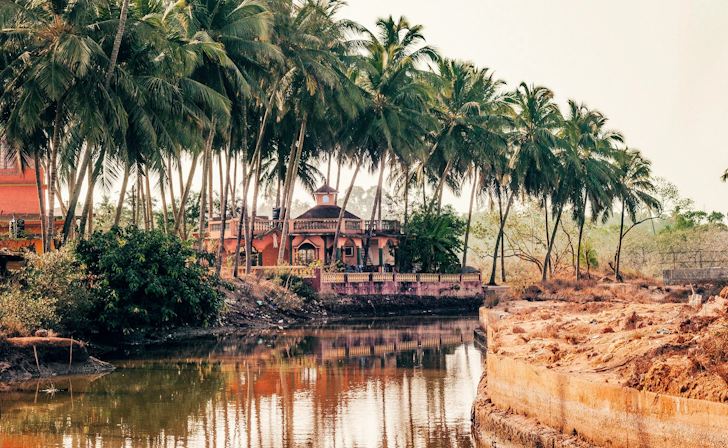 Quiet village road in Goa lined with palm trees and traditional houses