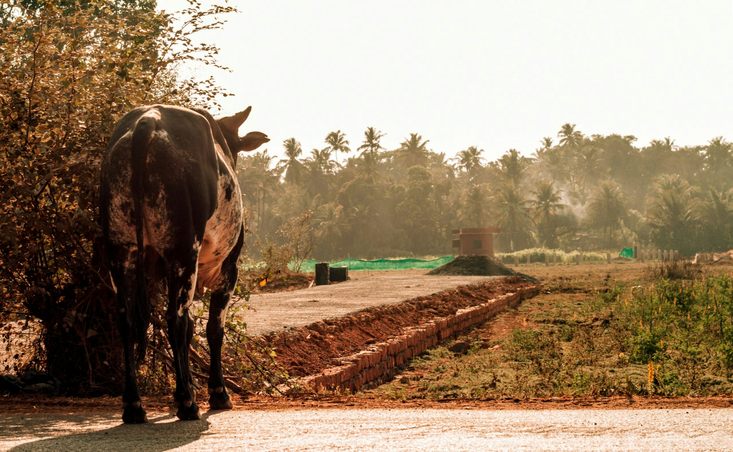 street in Goa showcasing TRADITIONAL surroundings
