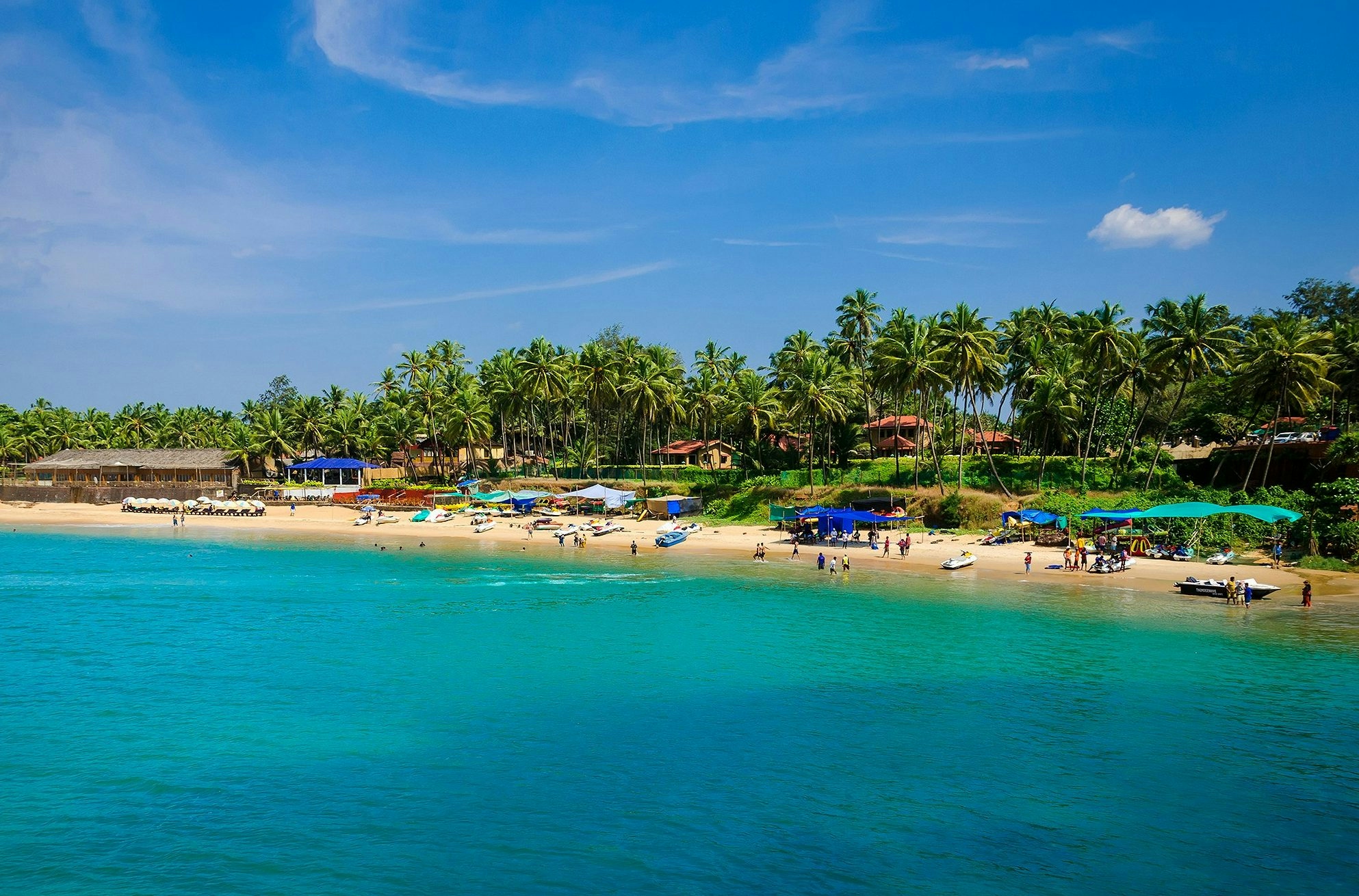 Aerial view of Goa’s coastline with lush greenery and clear blue ocean