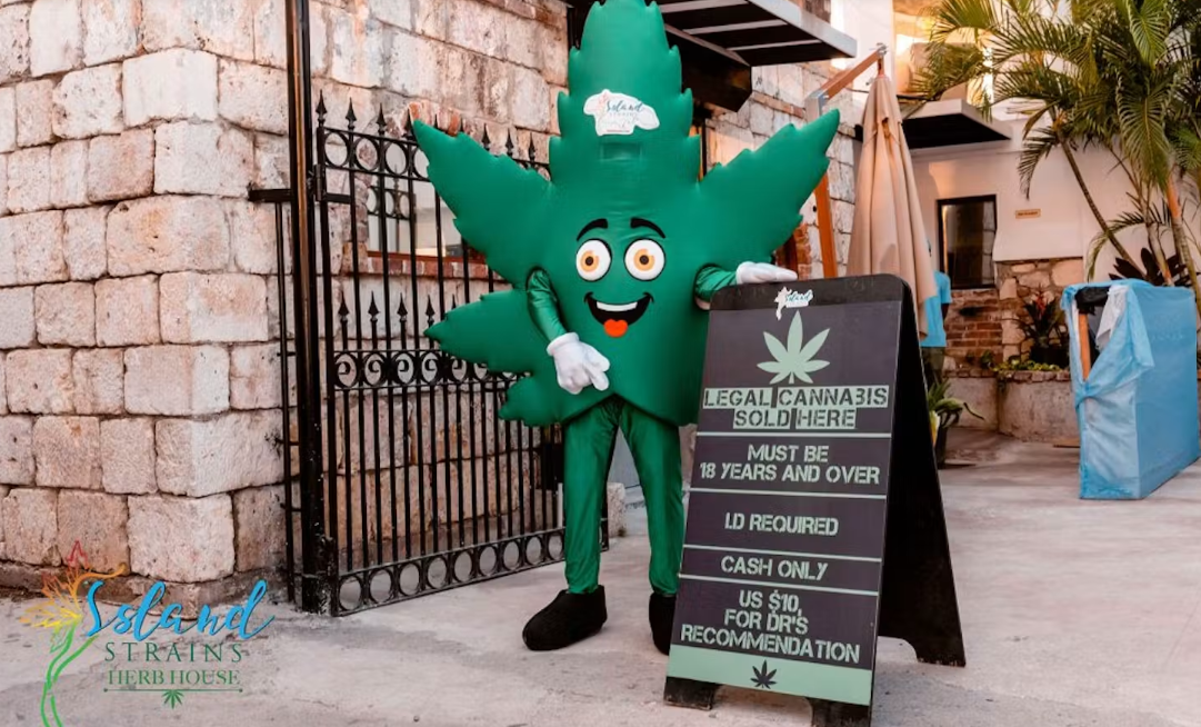 Island Strain Herb House in Montego Bay