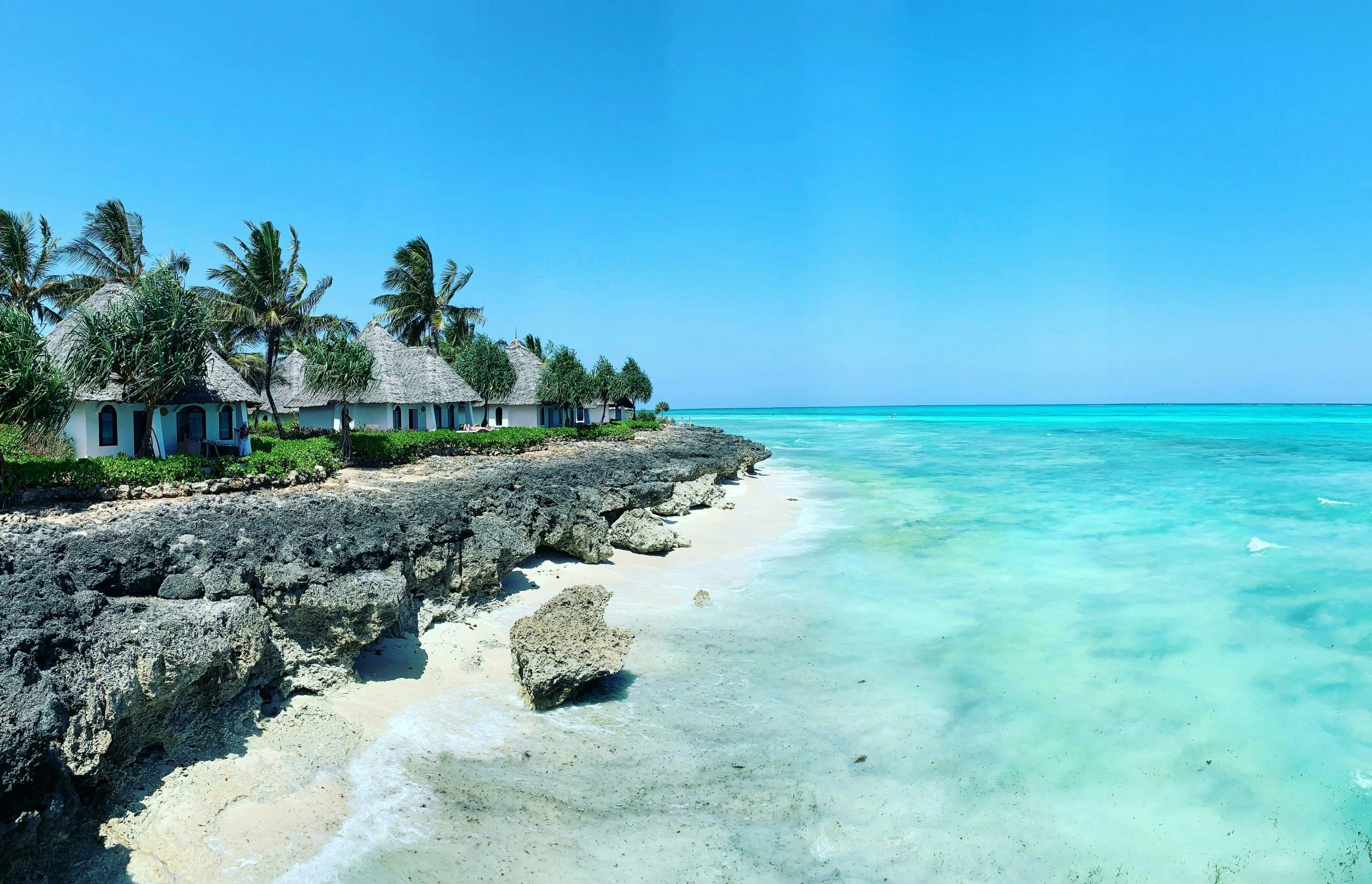 Palm-lined beach along the coast of Zanzibar, Tanzania