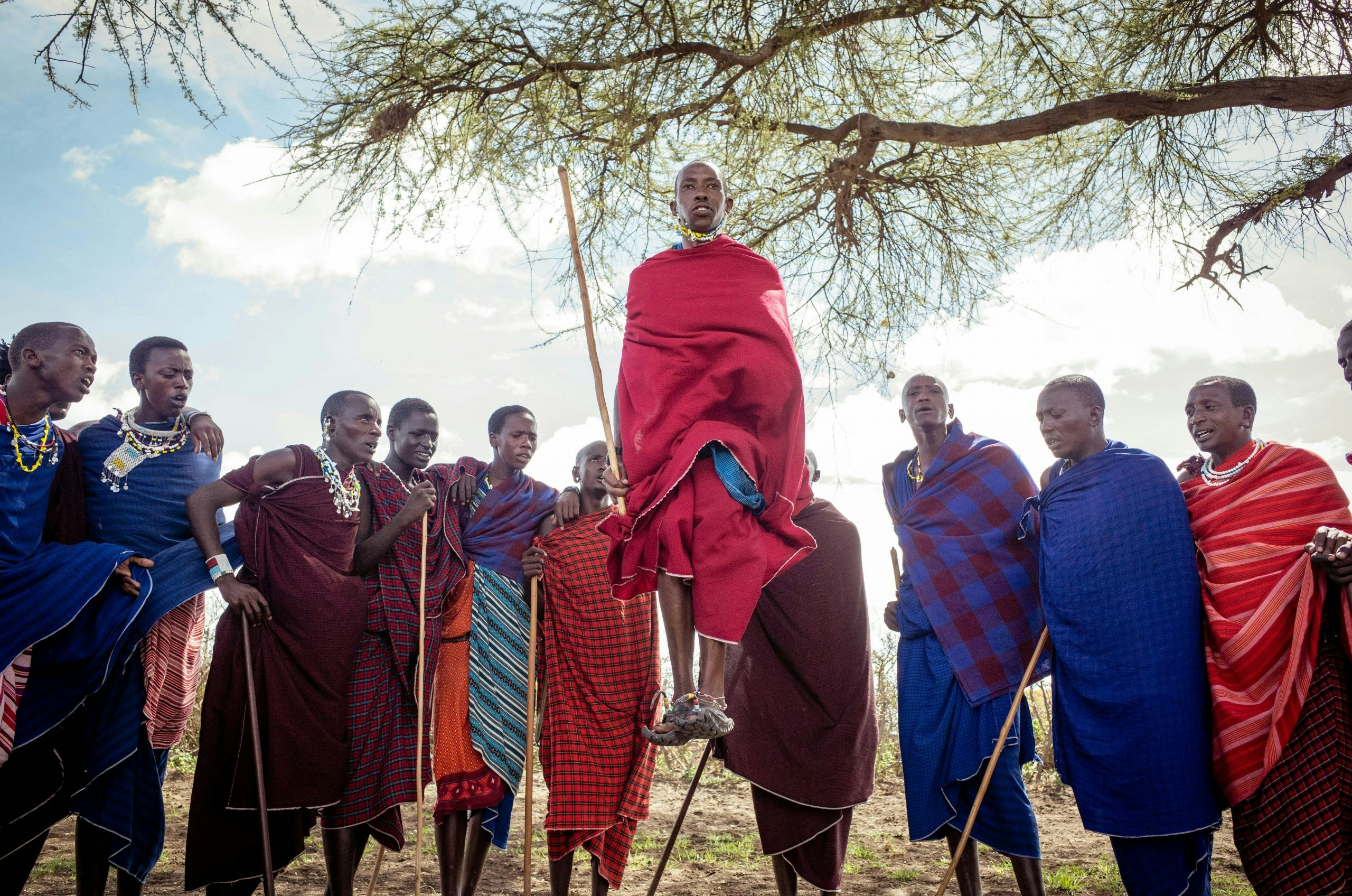 The Serengeti National Park showcasing Tanzania's world-famous wildlife and natural beauty