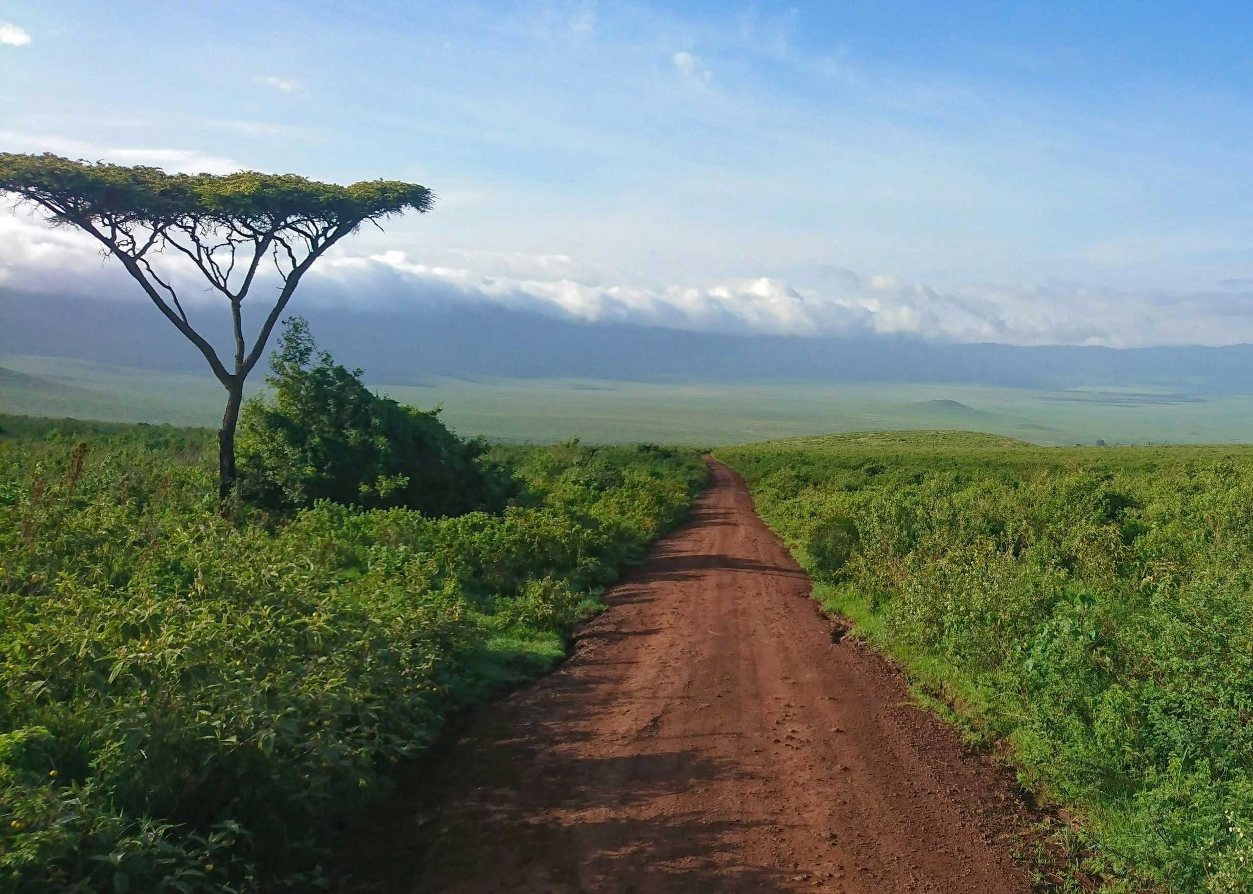 The Serengeti National Park showcasing Tanzania's world-famous wildlife and natural beauty