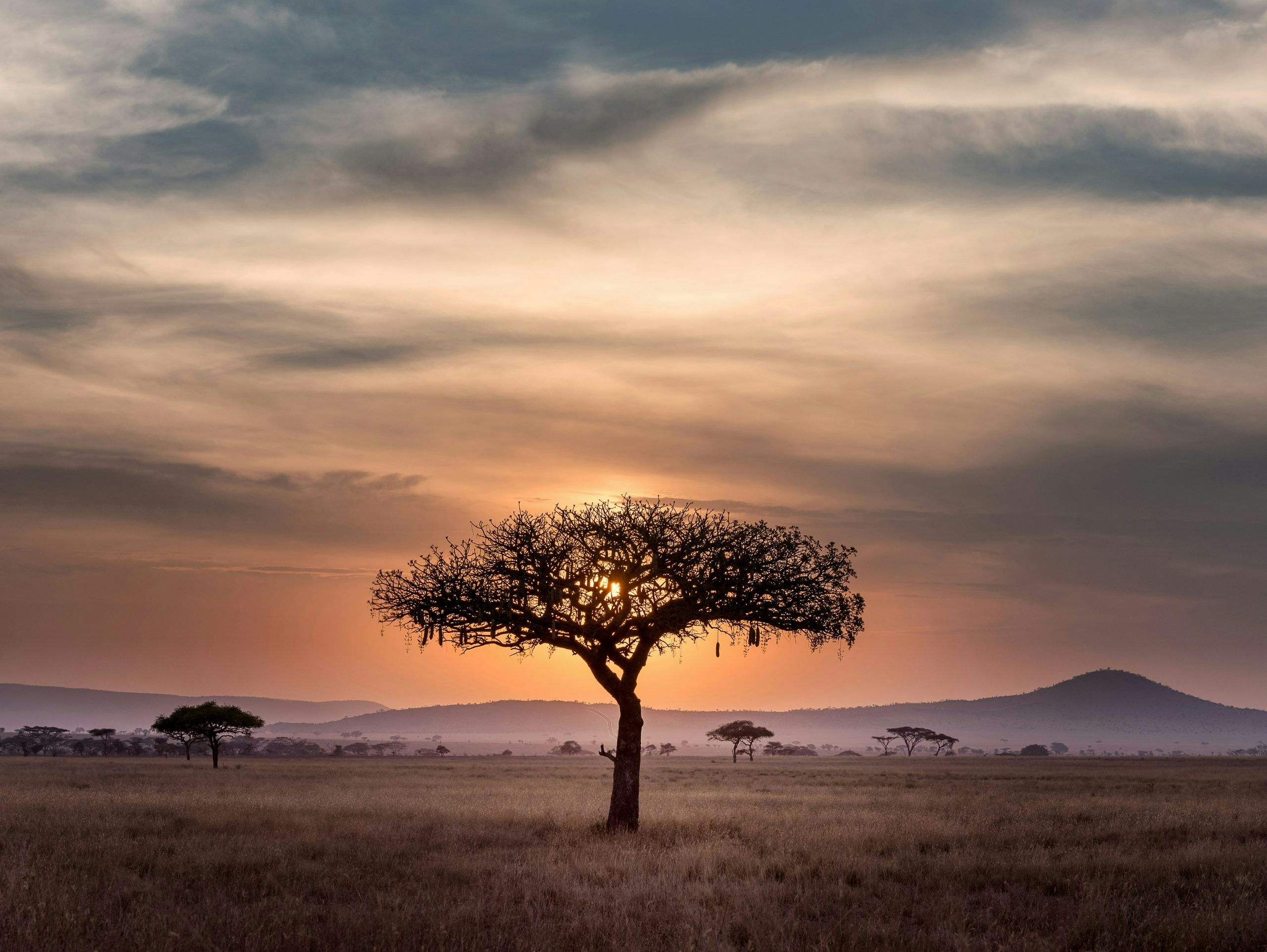 Sunrise over the natural landscapes of Tanzania.