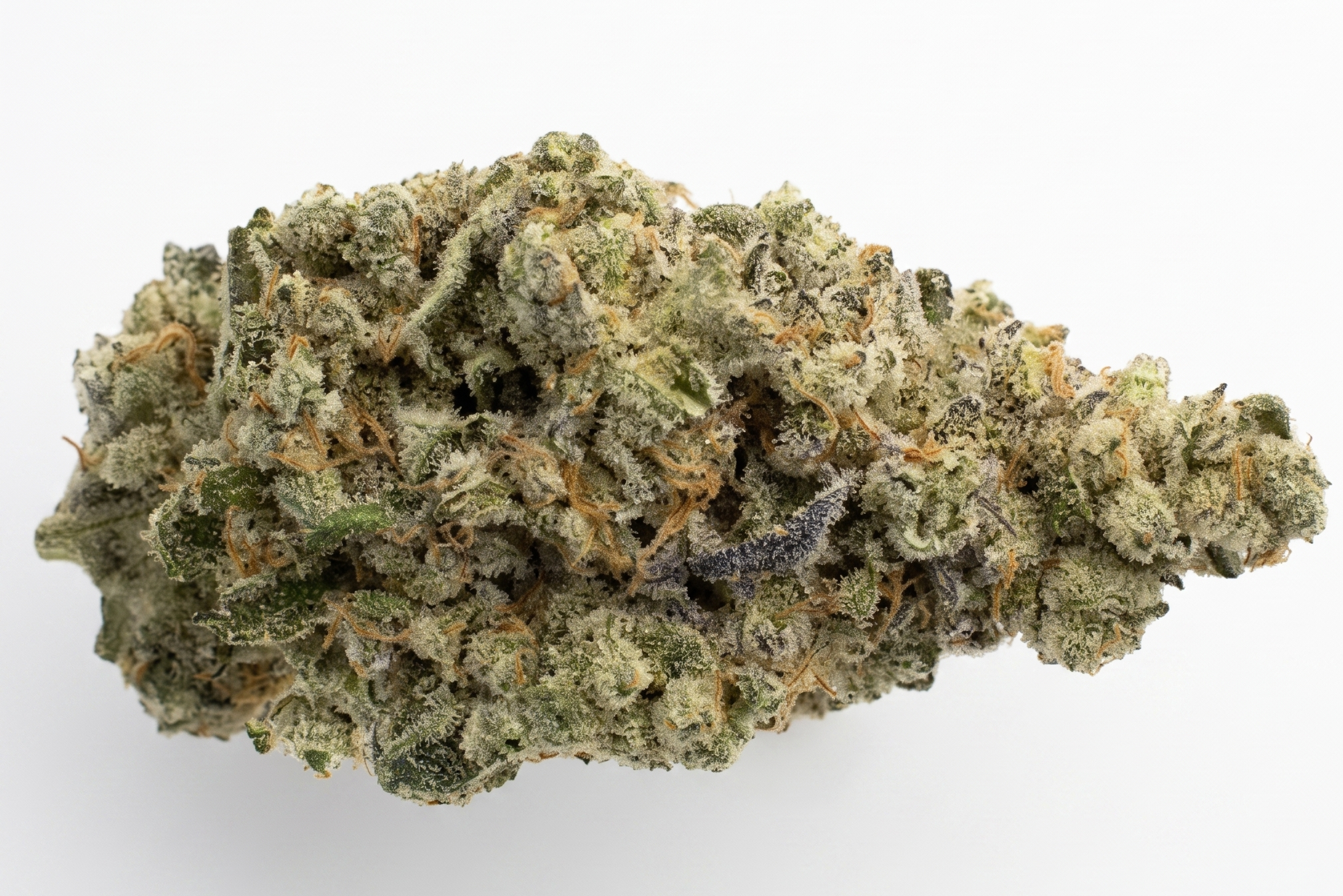 Close up of the Lemon Sour Diesel strain
