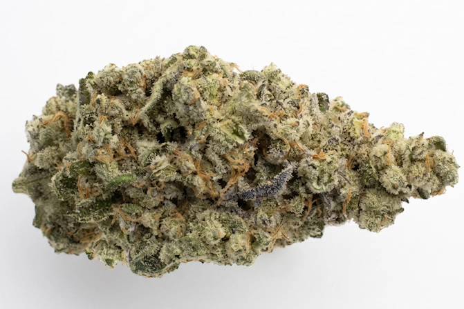 Close up of the Lemon Sour Diesel strain