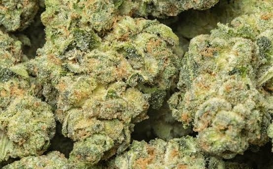 Collection of Rainbow Belts strain buds featuring dense resin coverage and vibrant coloration