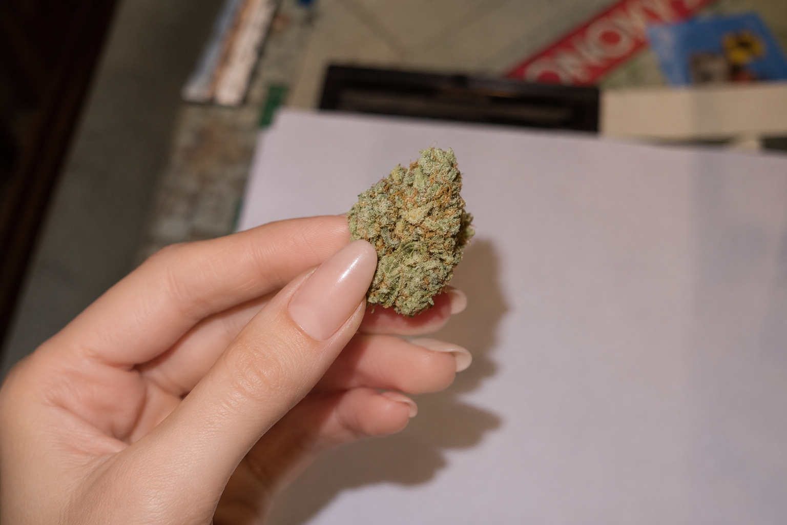 Hand holding a premium Rainbow Belts cannabis bud covered in frosty trichomes