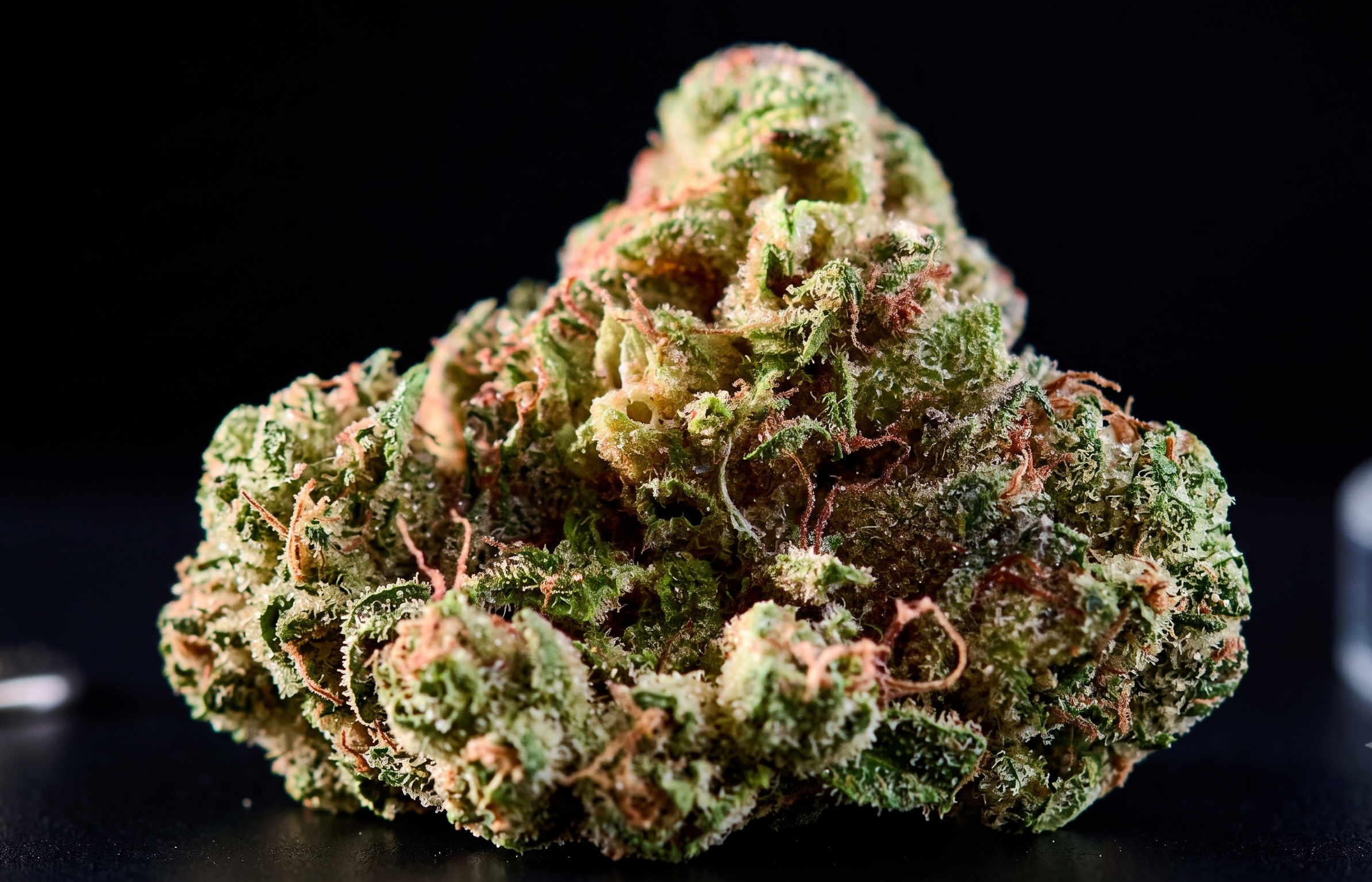 Detailed close-up of Rainbow Belts strain highlighting colorful buds and heavy resin production