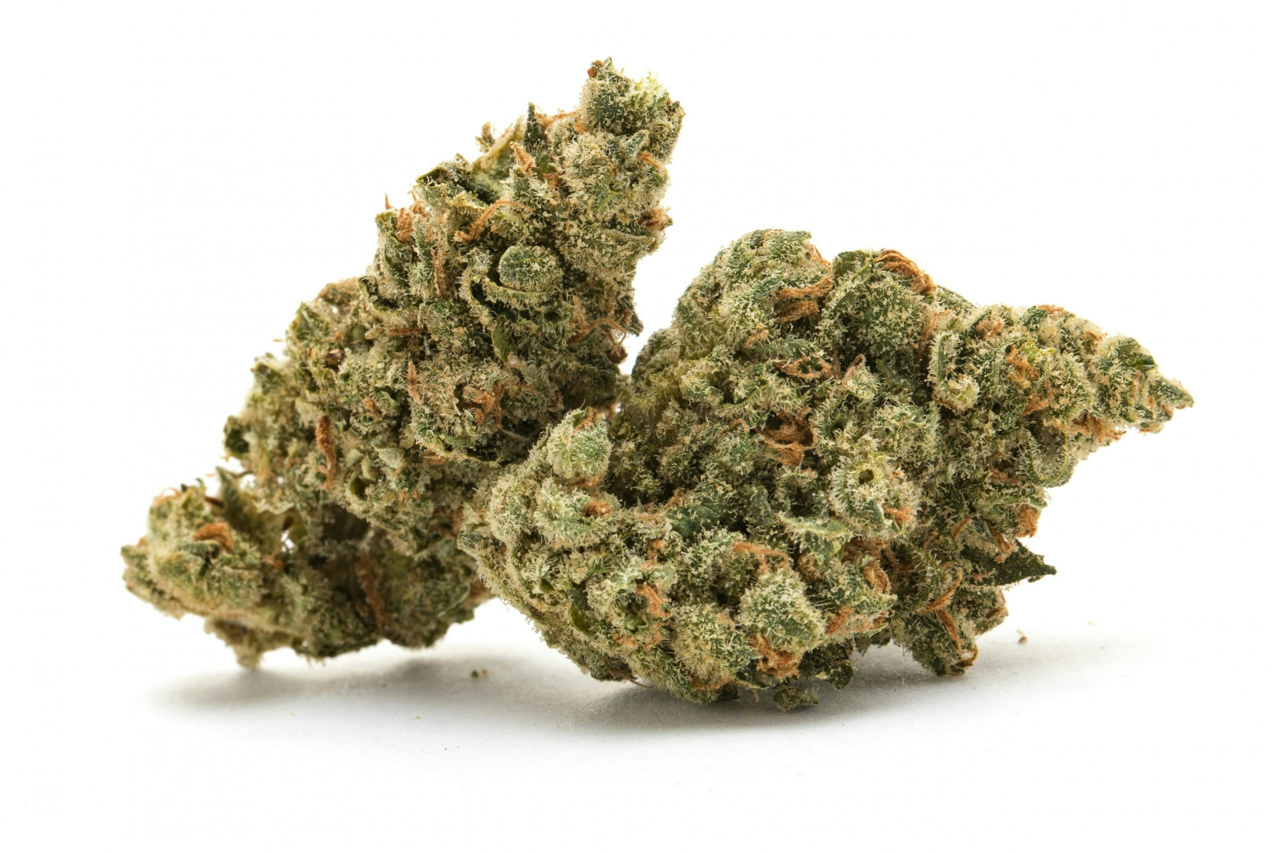 Pinnacle cannabis flower displaying dense, trichome-rich buds with premium quality