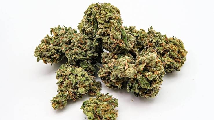 Close-up of black runtz weed strain showcasing vibrant colors, frosty trichomes, and dense bud structure