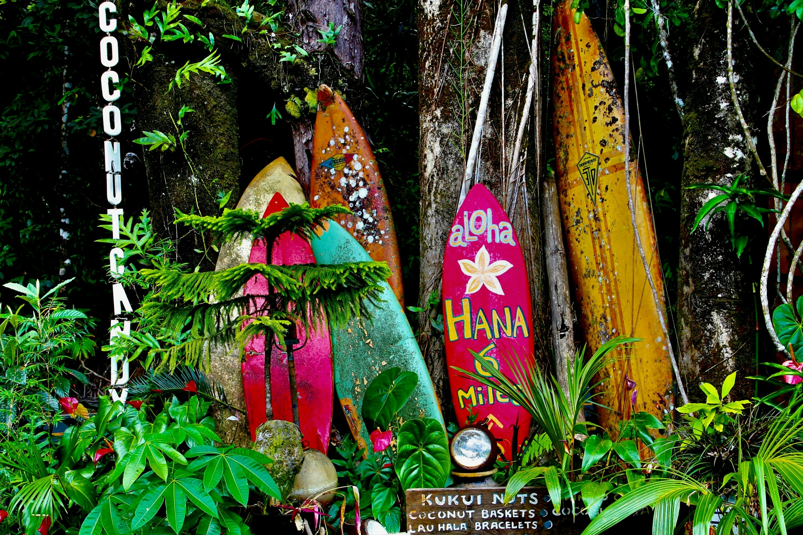 How to Buy Weed in Maui: Hawaii’s Medical-Only Dispensaries & What Visitors Should Know