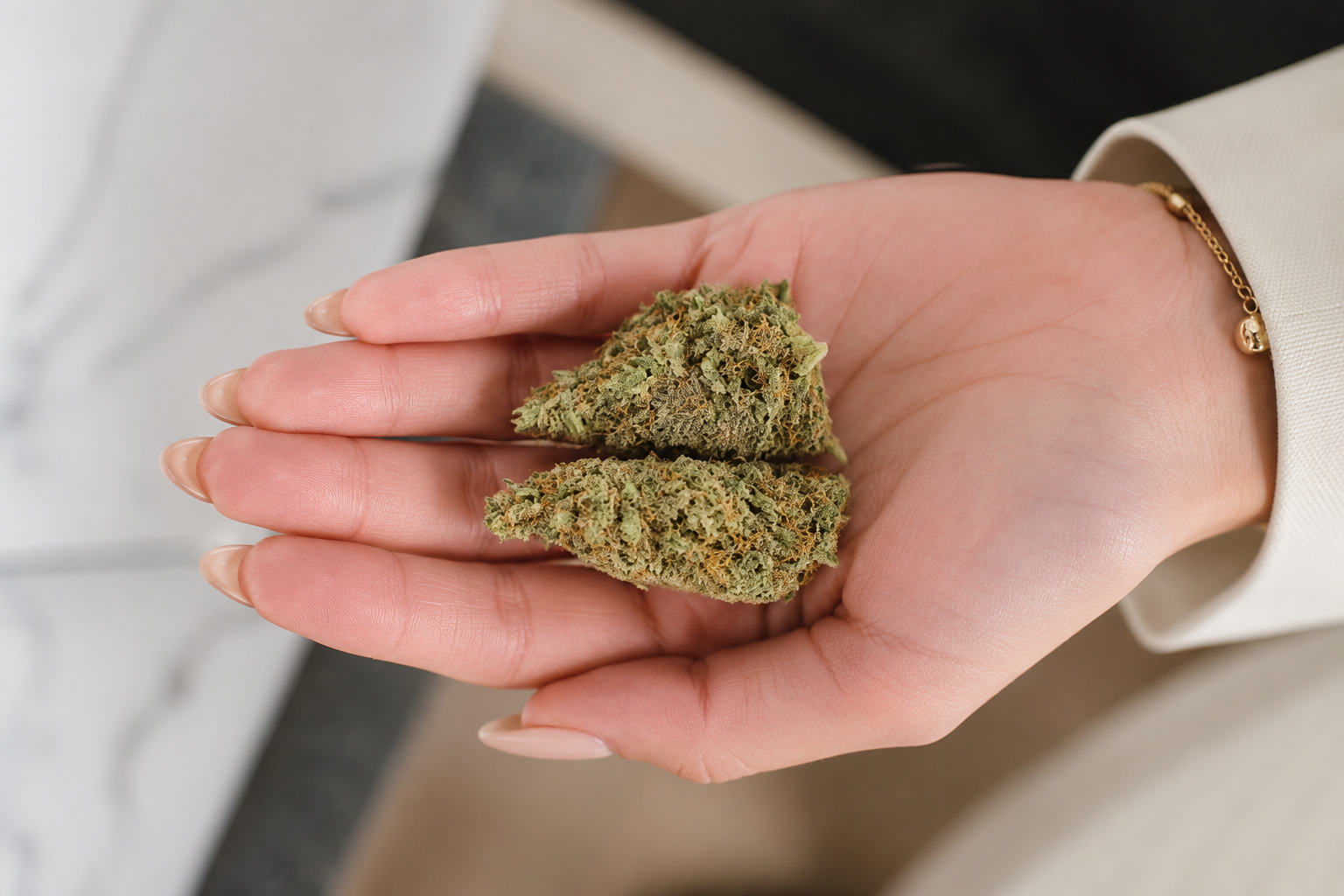 Person showcasing a Crunch Berries cannabis nug with vibrant colors and abundant resin