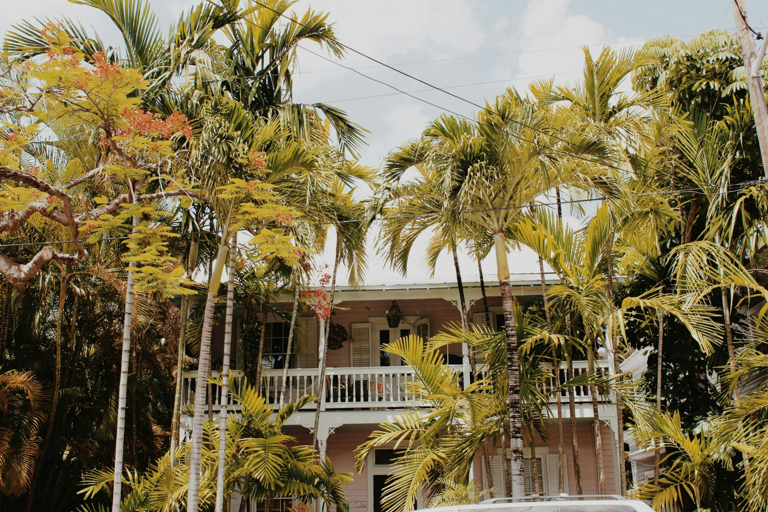 Typical Key West house surrounded by lush palm trees and tropical landscaping