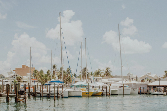 Key West waterfront with boats, palm trees, and the clear waters surrounding the island