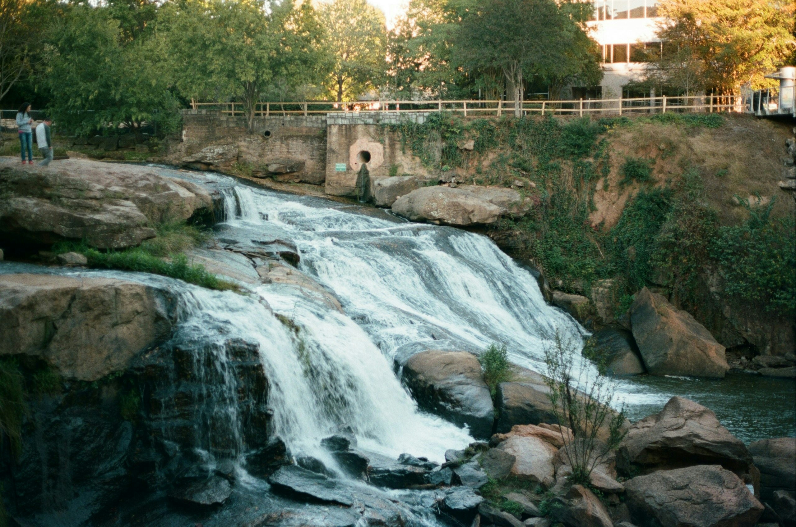 Falls Park on the Reedy in Greenville, surrounded by greenery, walking paths