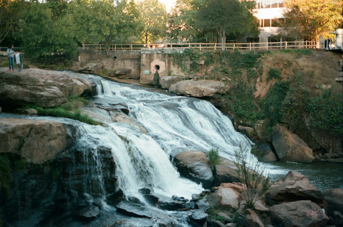 Falls Park on the Reedy in Greenville, surrounded by greenery, walking paths
