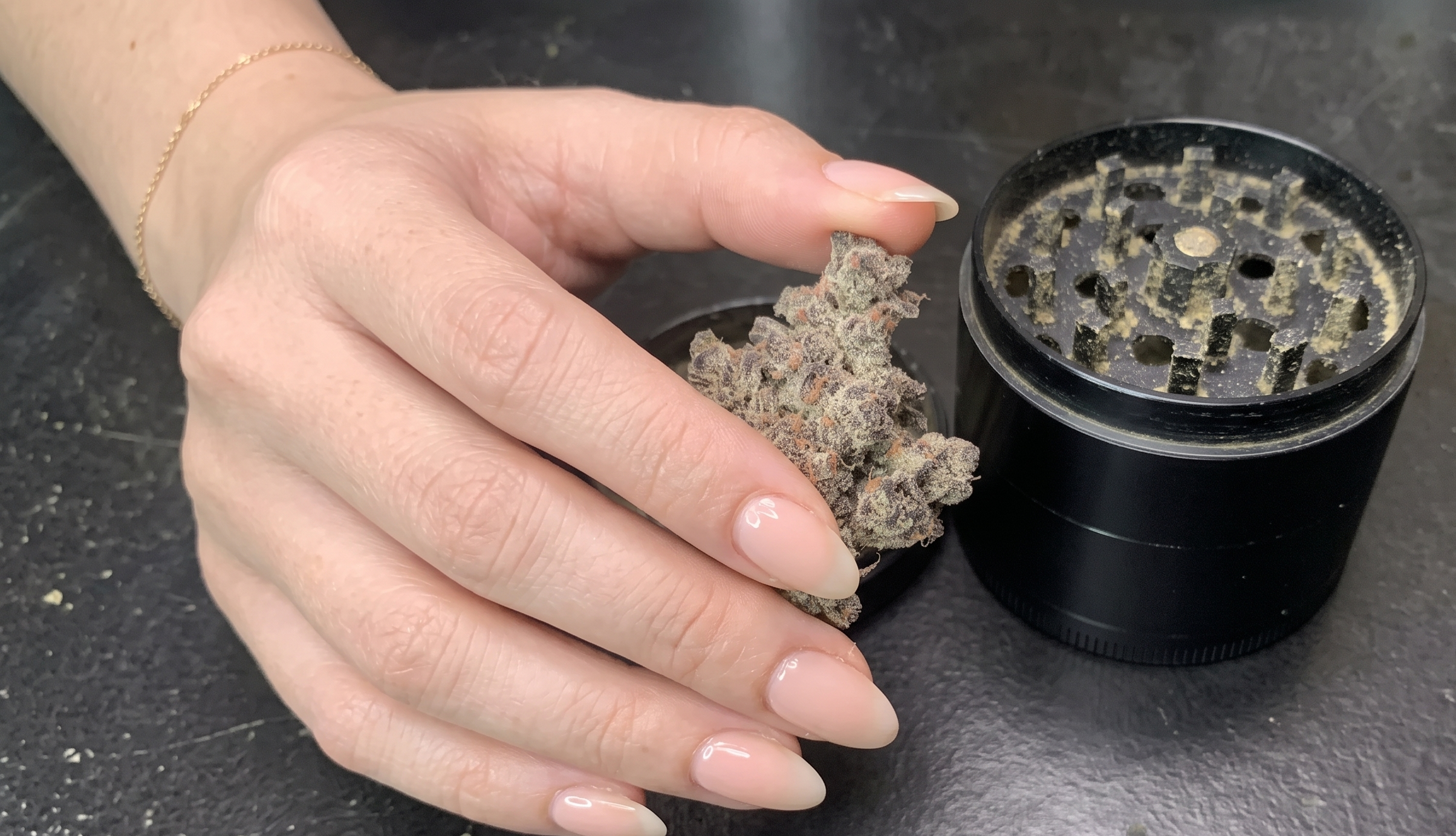 Close-up of a hand holding a metal grinder and a dense cannabis flower