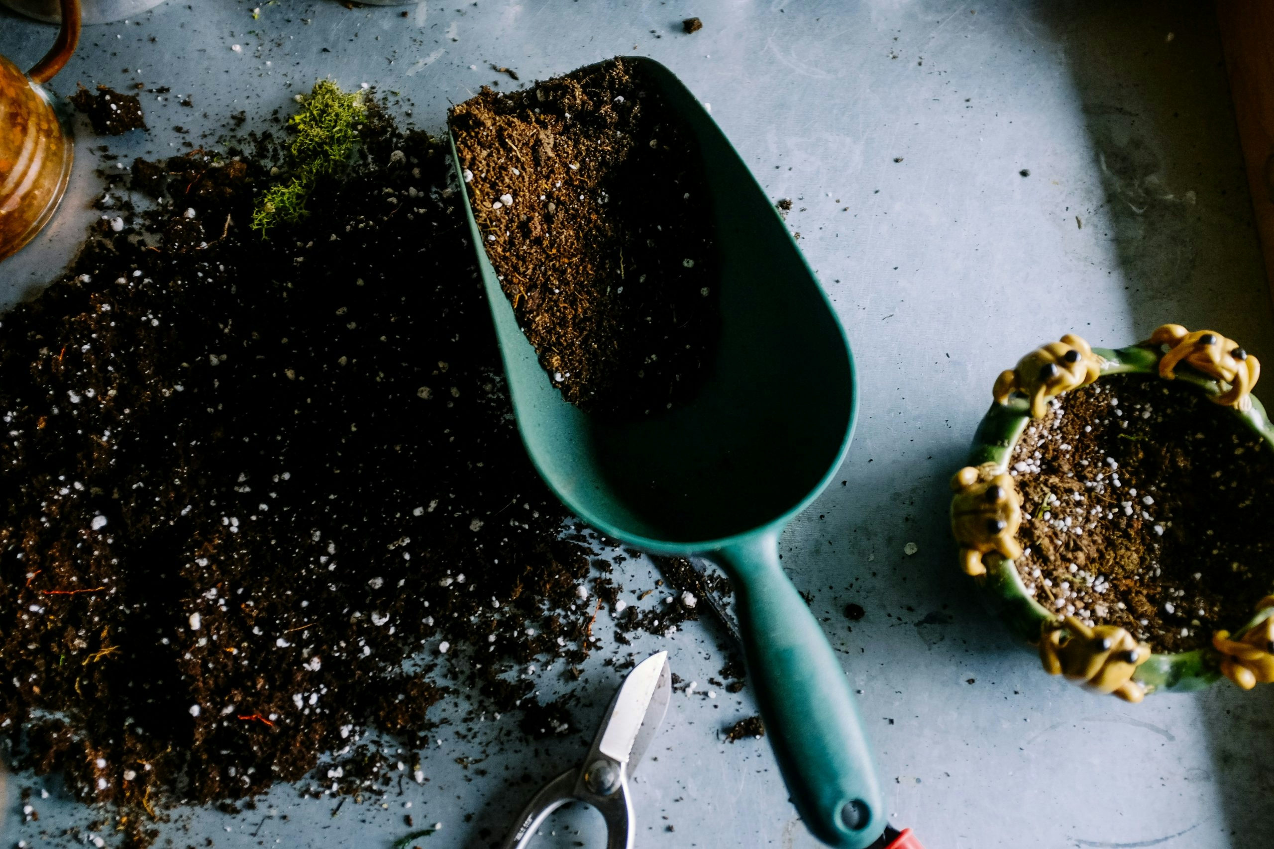 Garden shovel filled with nutrient-rich soil and fertilizer for planting cannabis