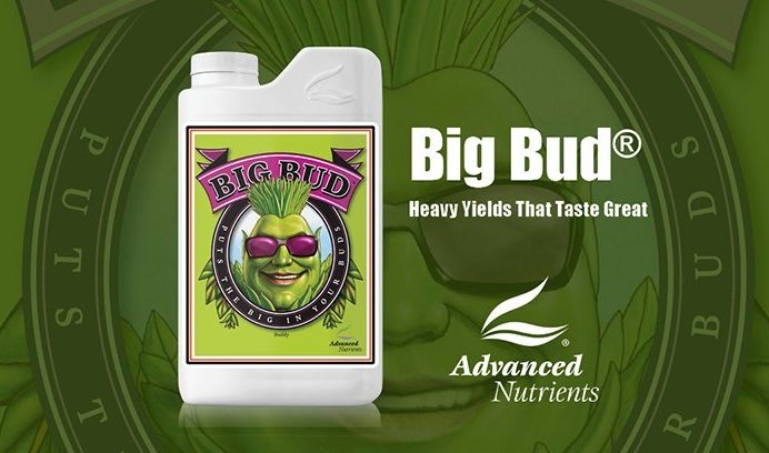 Advanced Nutrients Big Bud