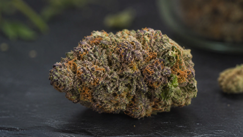 Close-up of a premium Astro Candy cannabis bud covered in frosty trichomes