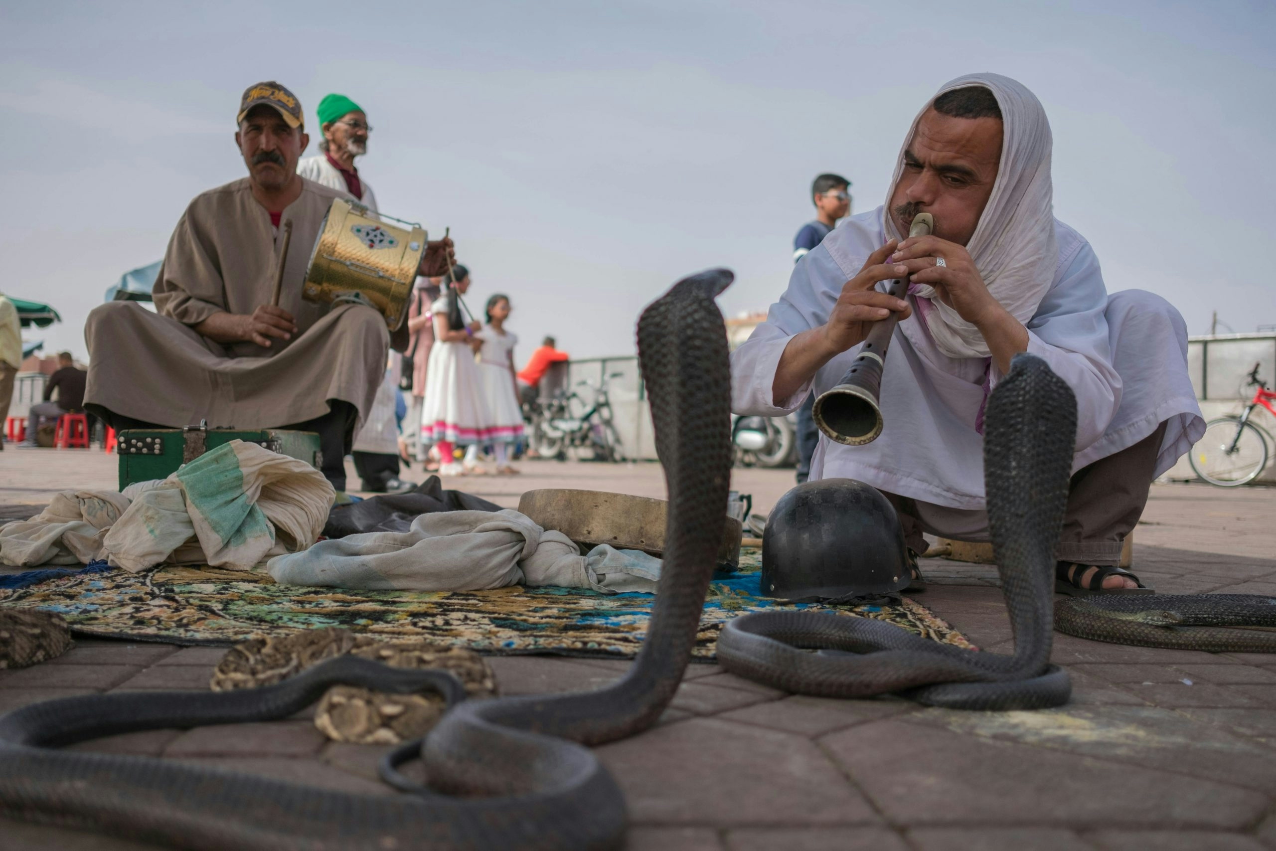 Traditional snake charmer performing in Jemaa el-Fnaa square, Marrakech