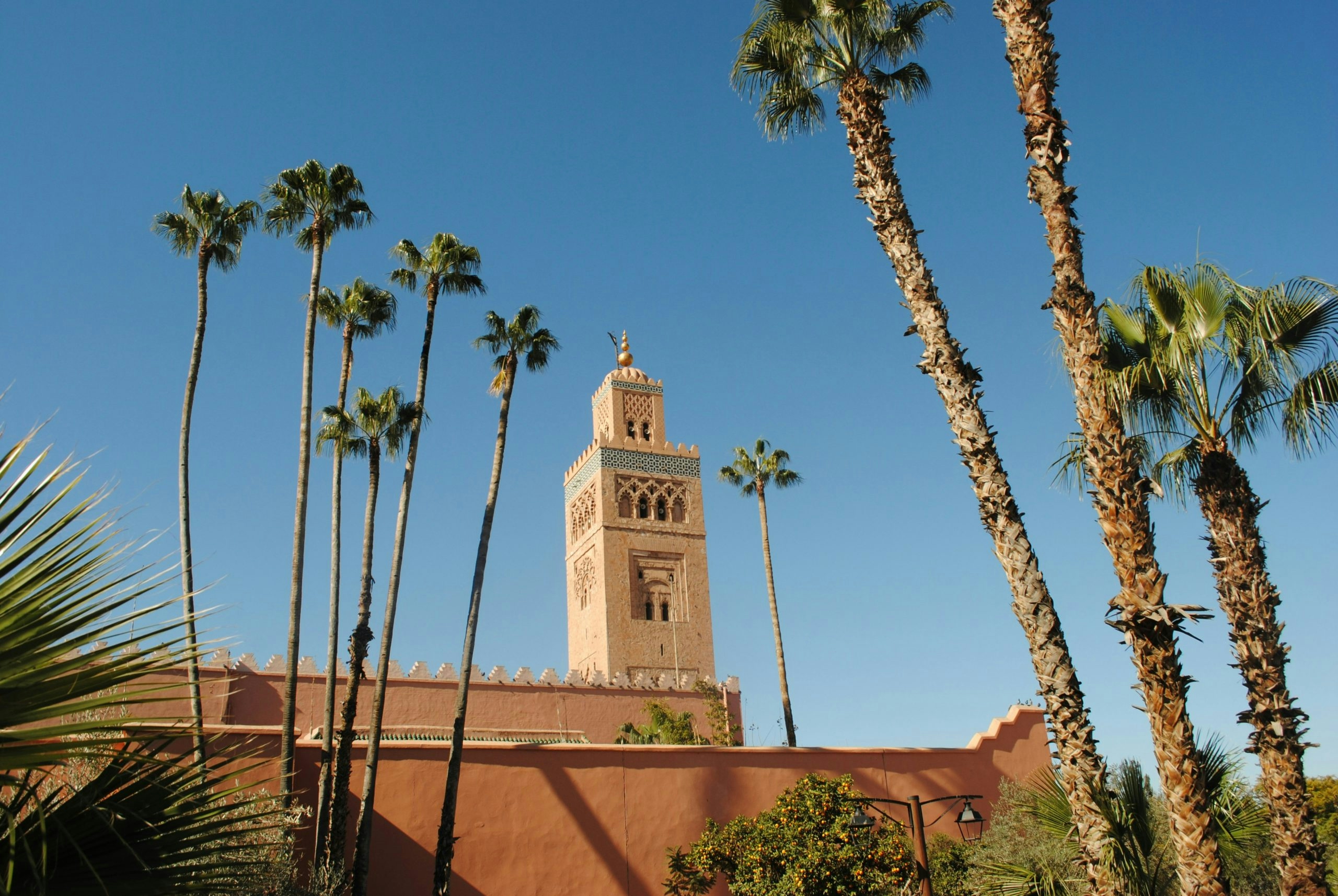 Aerial view of Marrakech showing traditional rooftops and palm trees