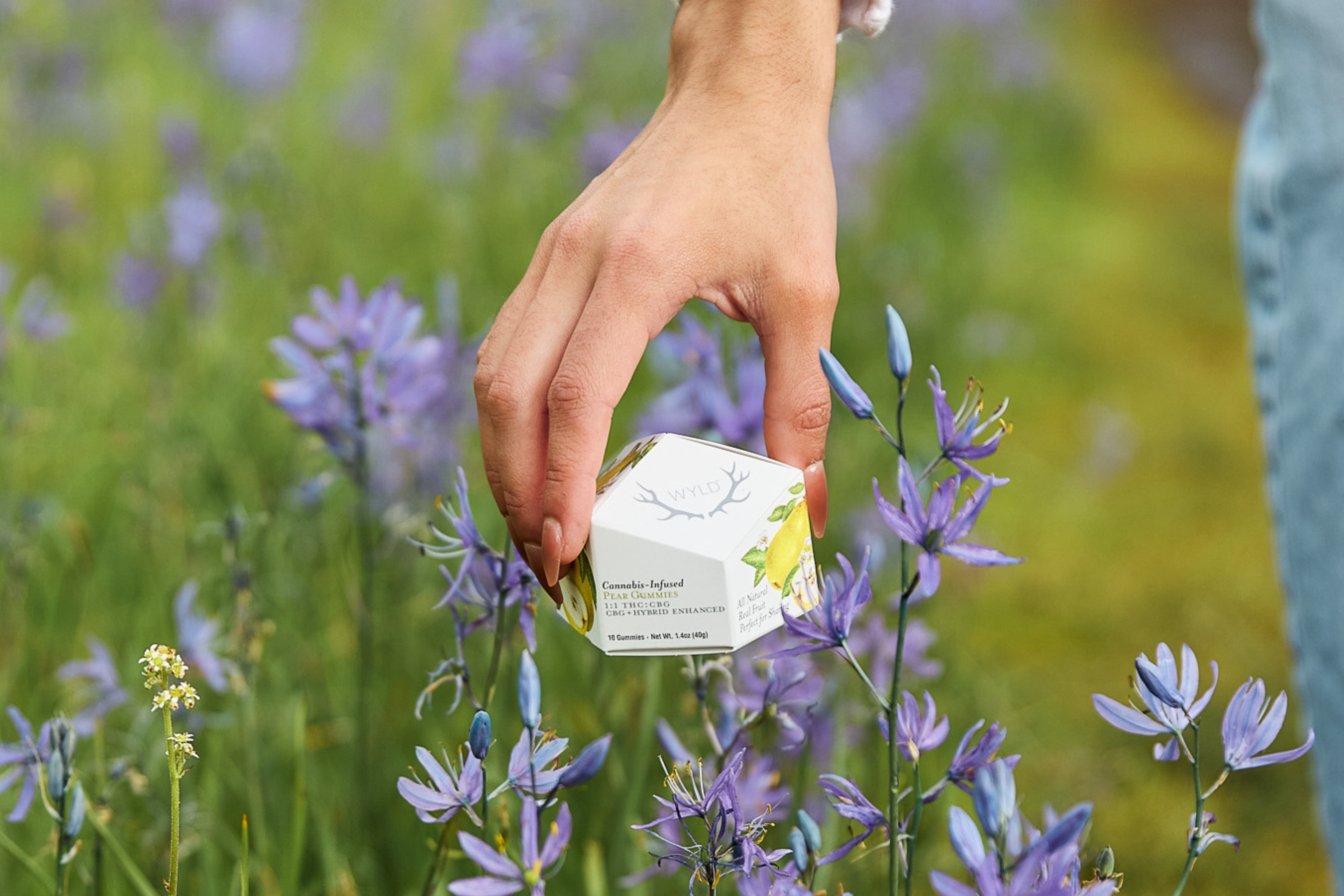 Wyld Hemp Gummies packaging in a natural outdoor setting