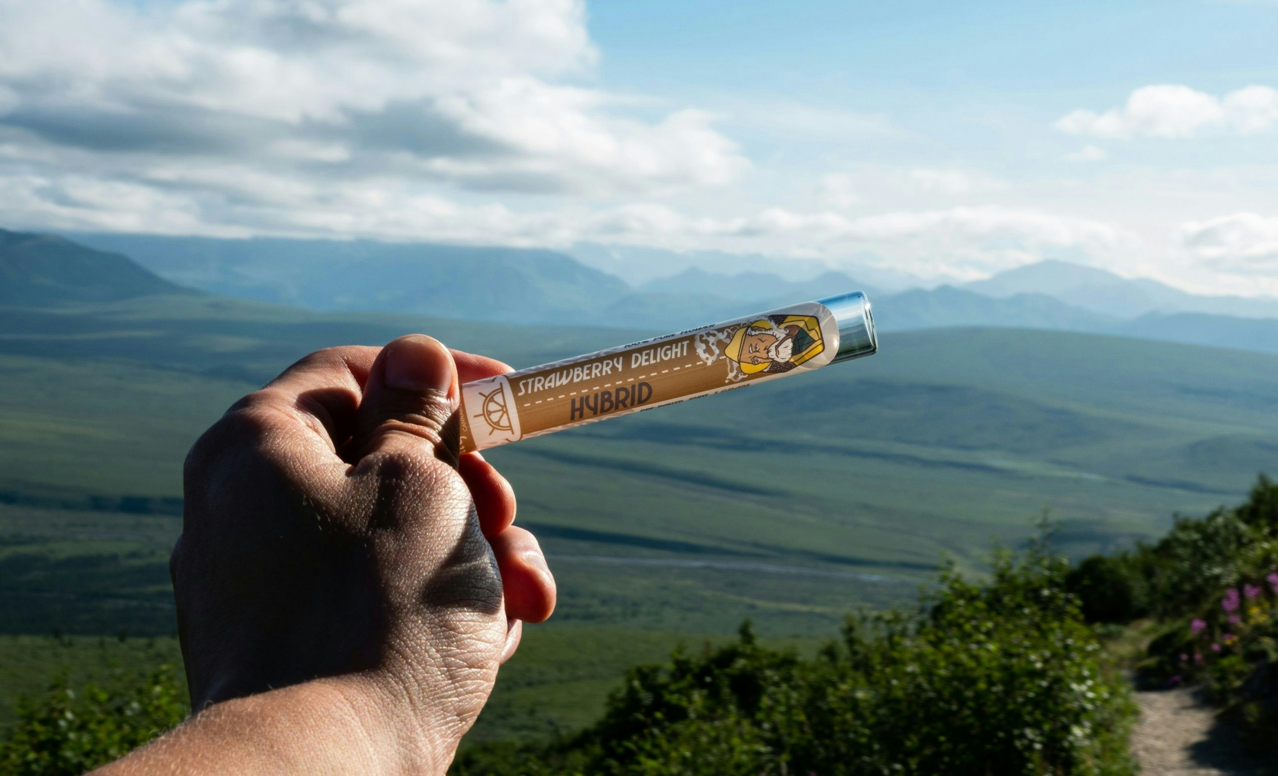 Hand holding a cannabis preroll with Anchorage mountains in the background